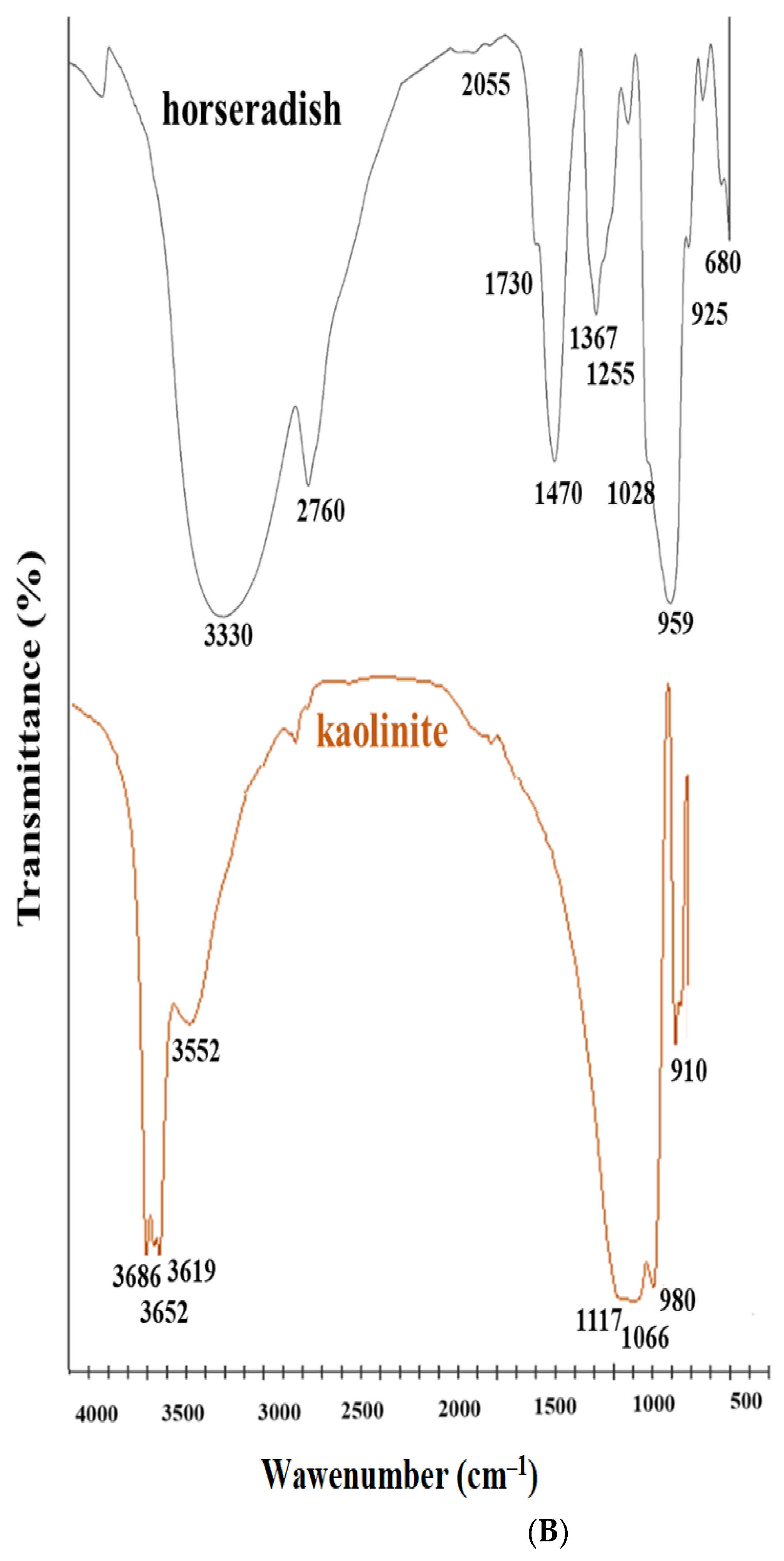 Antioxidants 12 01268 g005b