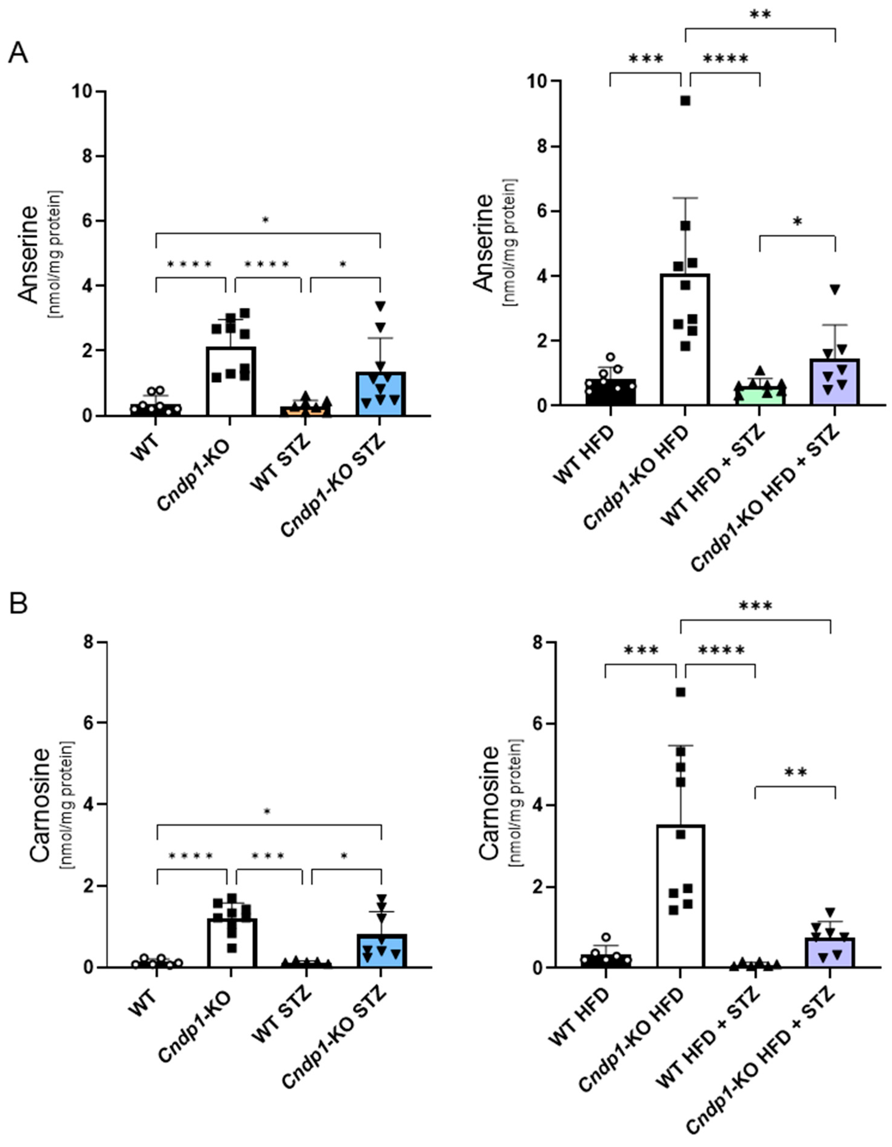Antioxidants 12 01270 g002