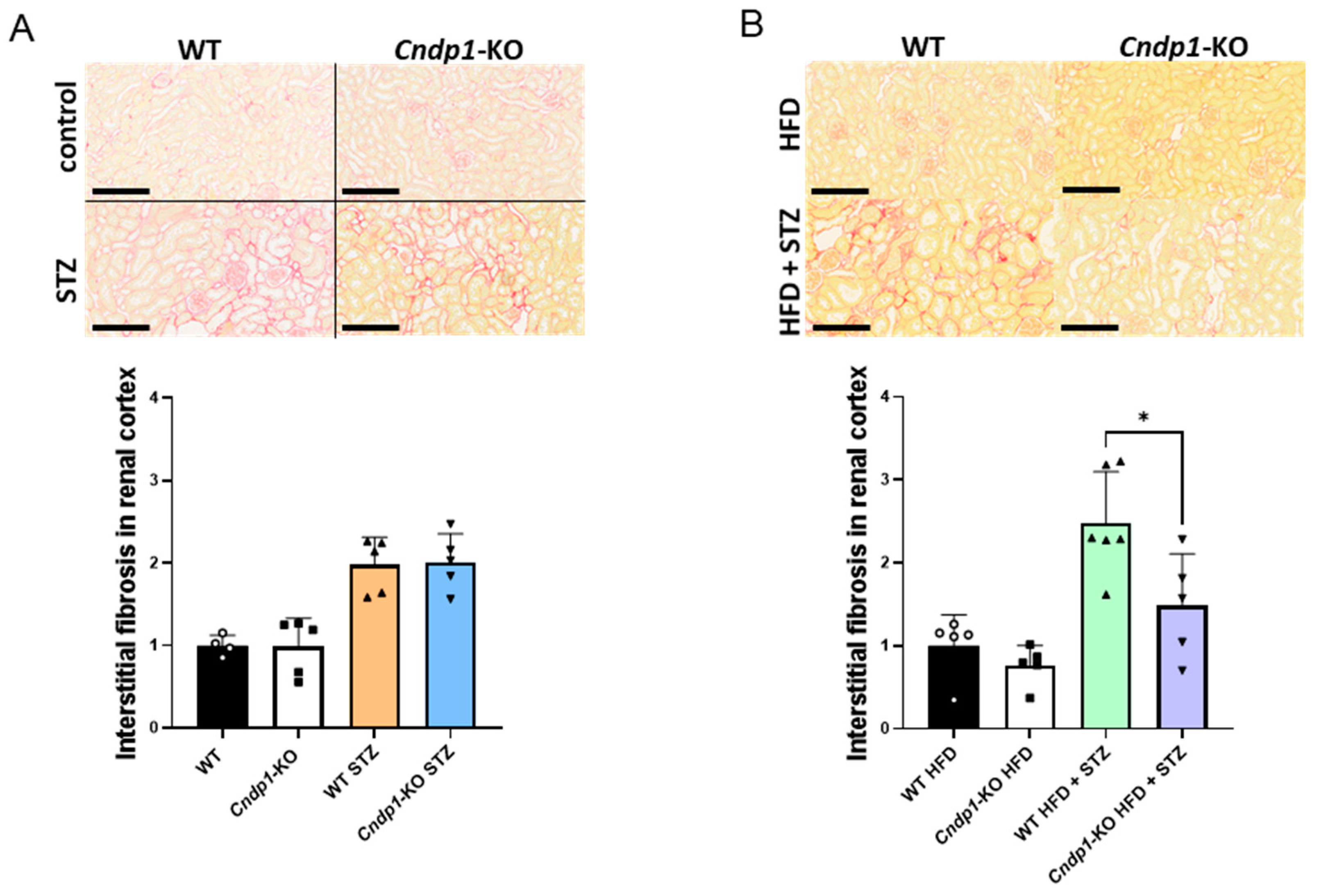 Antioxidants 12 01270 g003