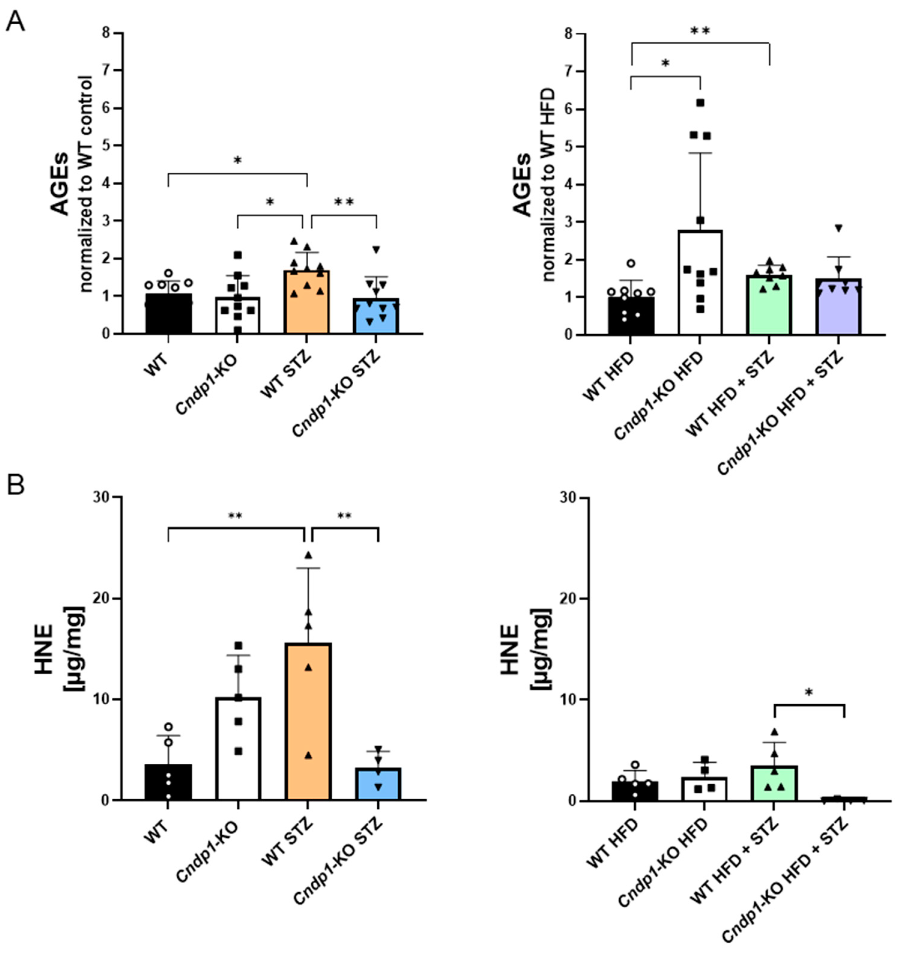 Antioxidants 12 01270 g004