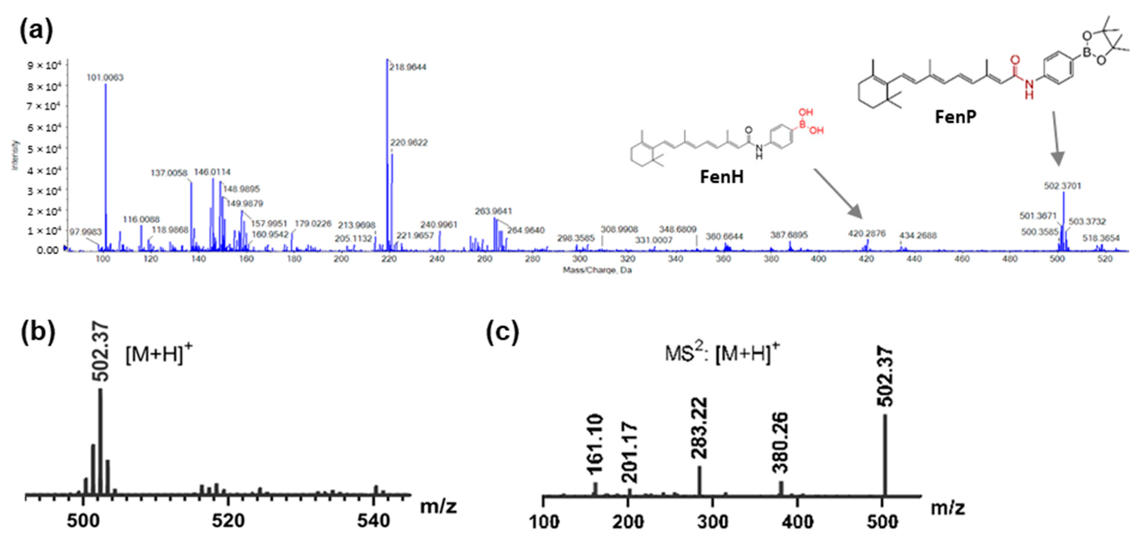 Antioxidants 12 01271 g0a2 Antioxidants 12 01271 g0a2
