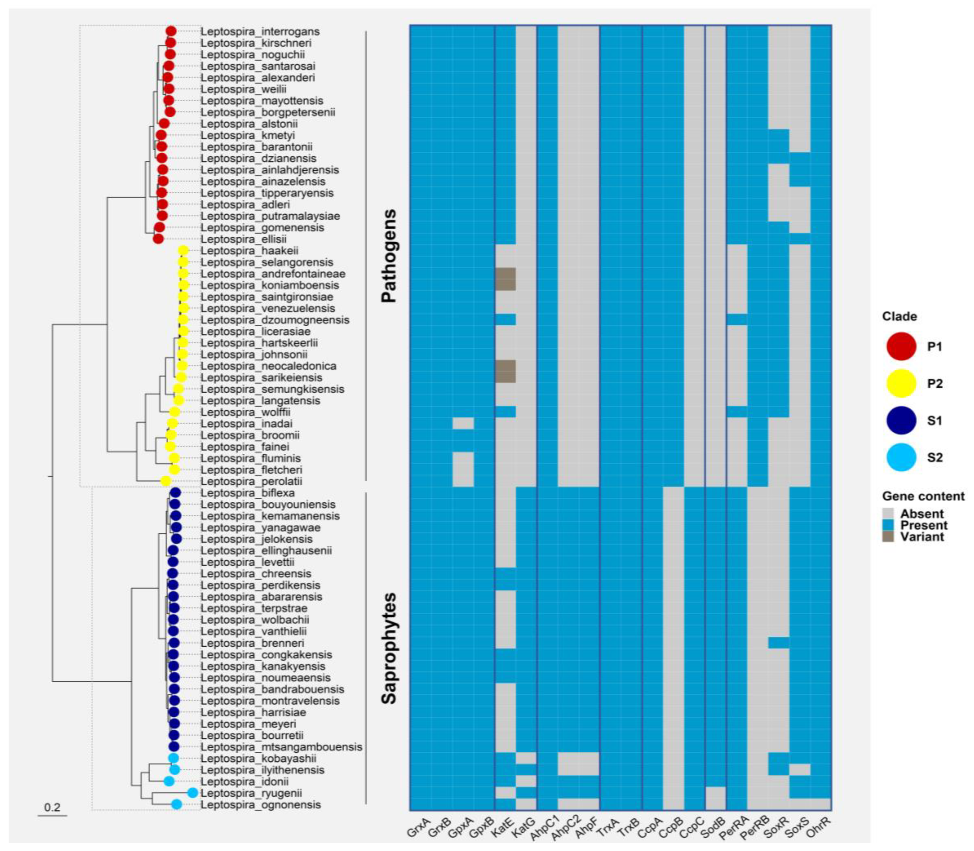Antioxidants 12 01273 g004