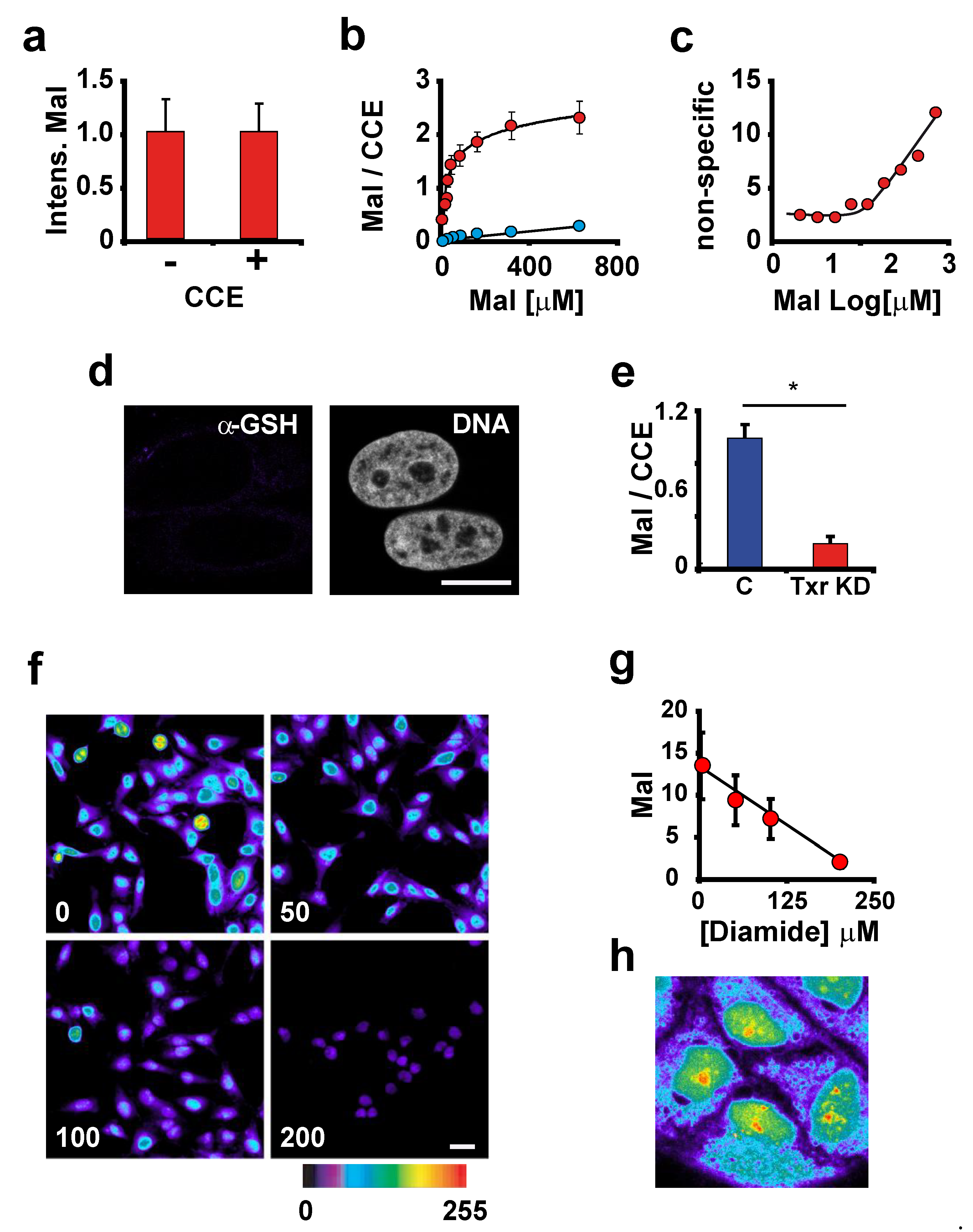 Antioxidants 12 01274 g002