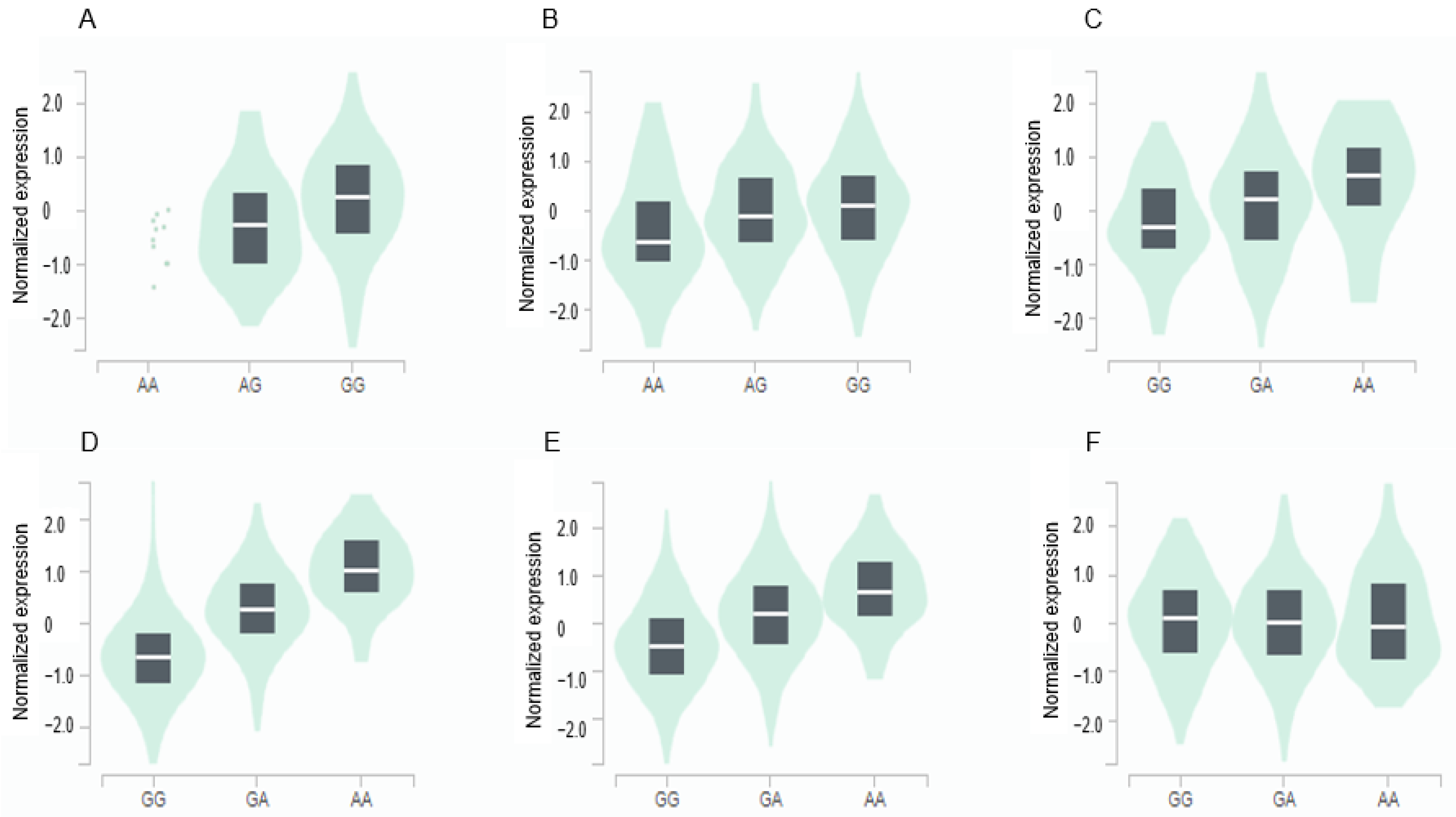 Antioxidants 12 01280 g003