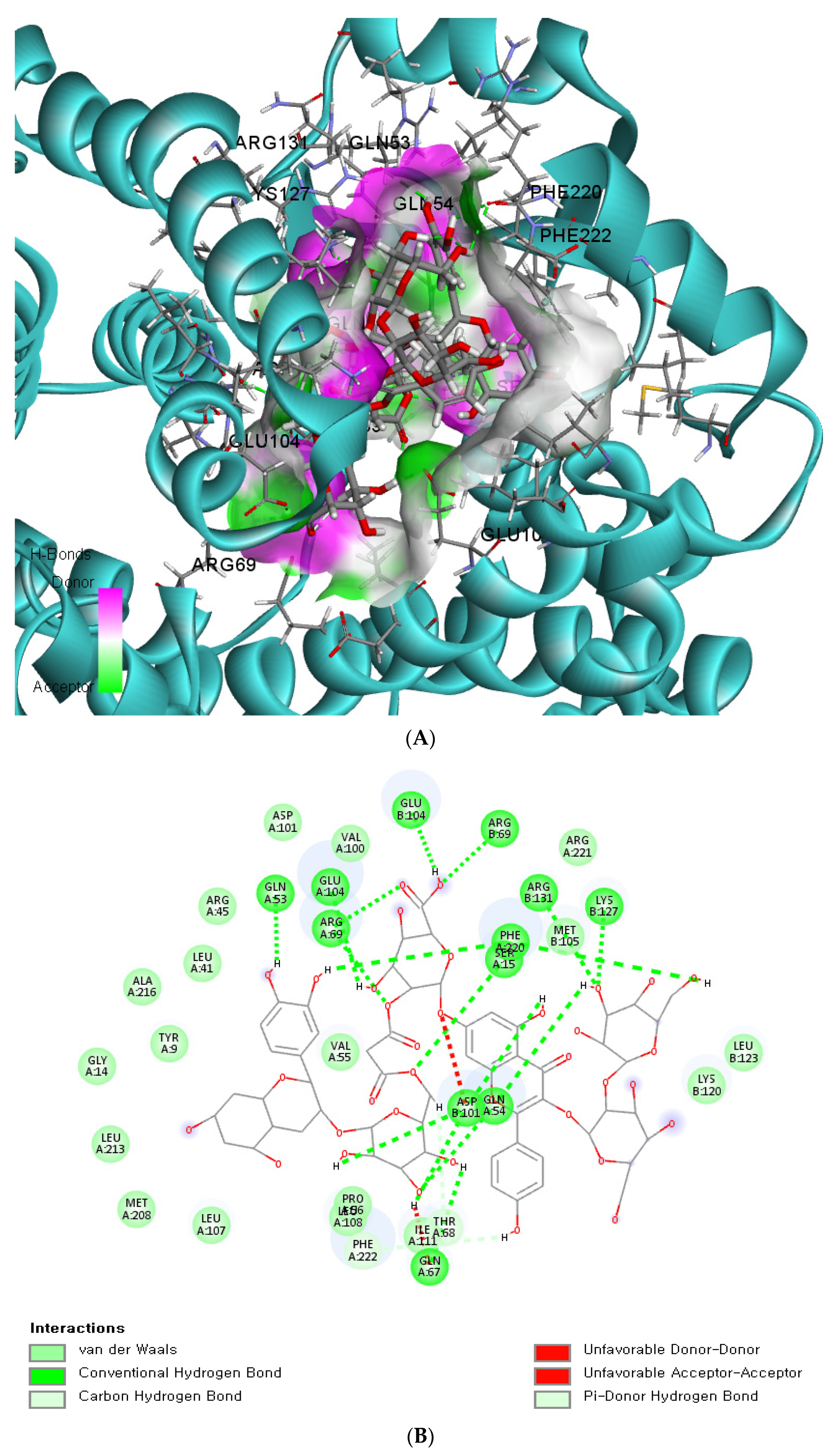 Antioxidants 12 01280 g004a