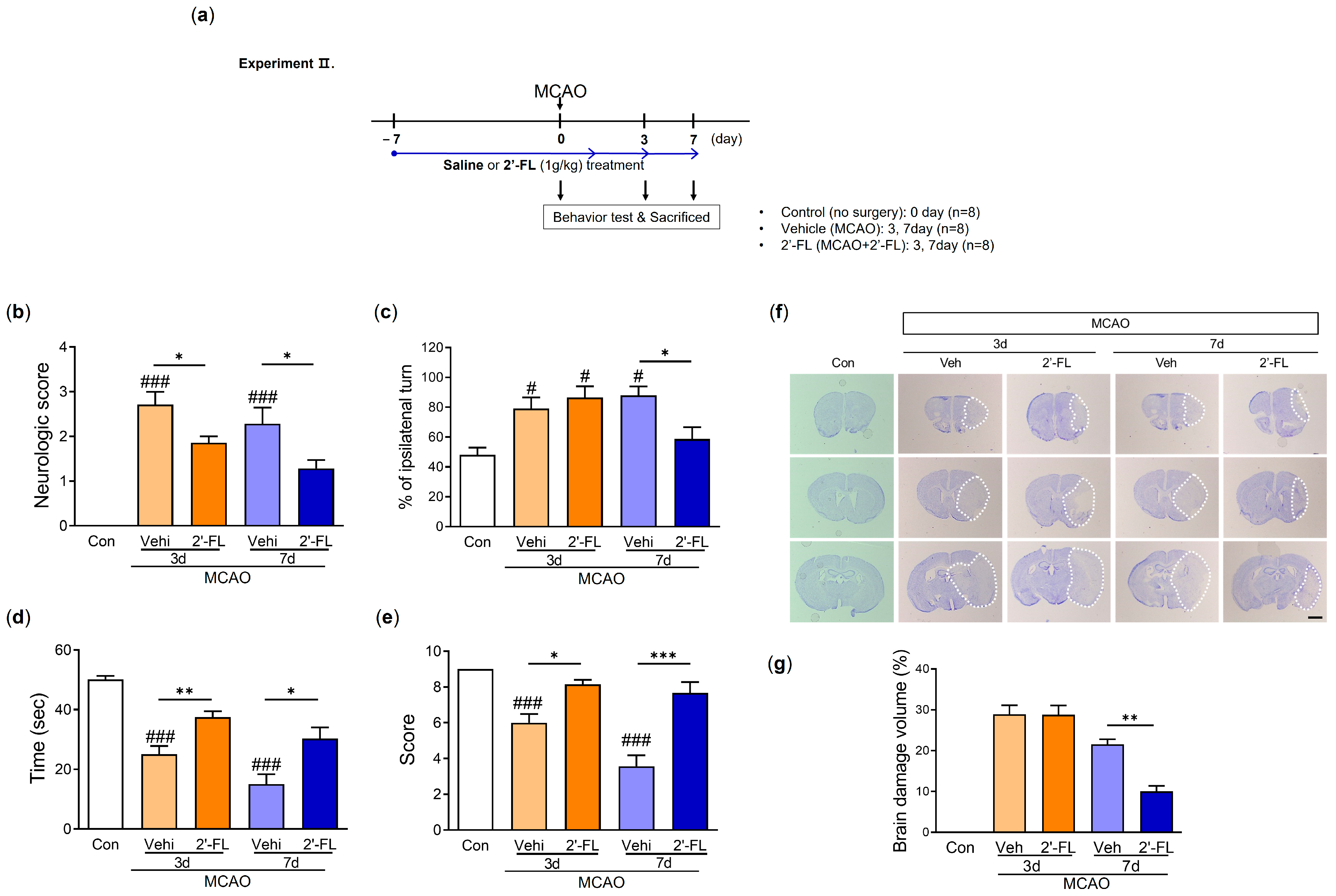 Antioxidants 12 01281 g002