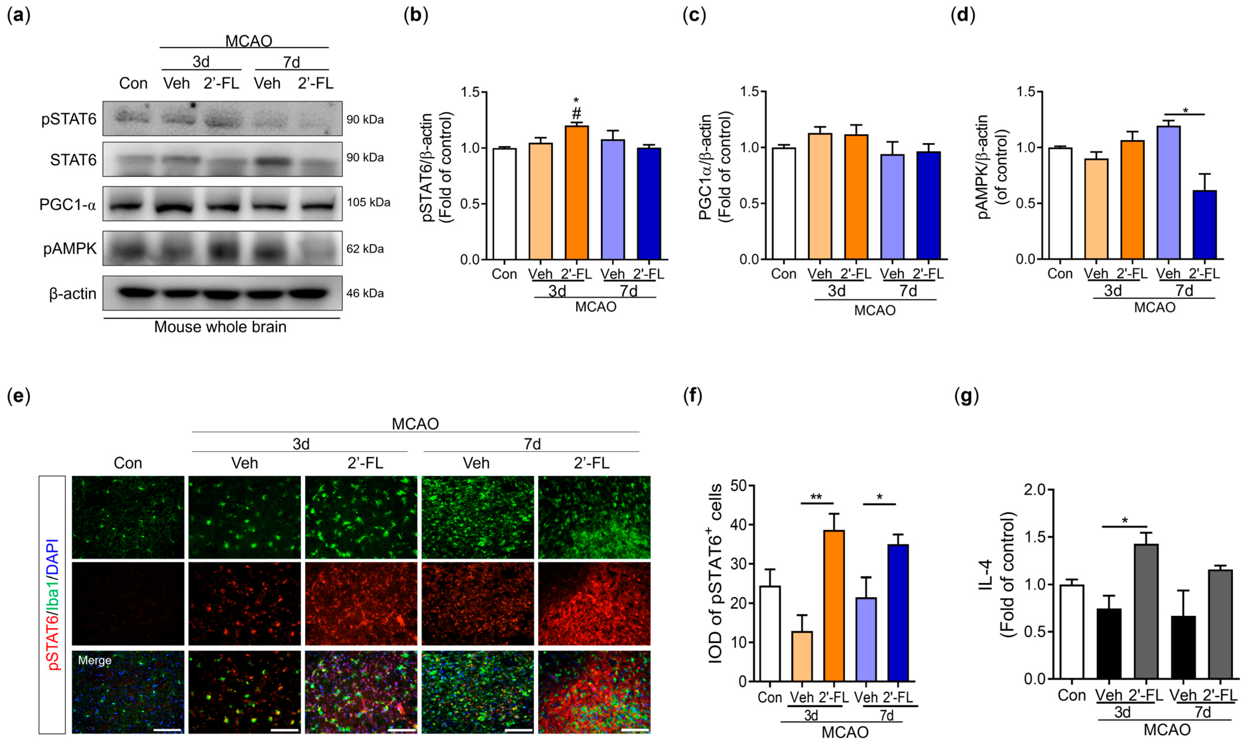 Antioxidants 12 01281 g005