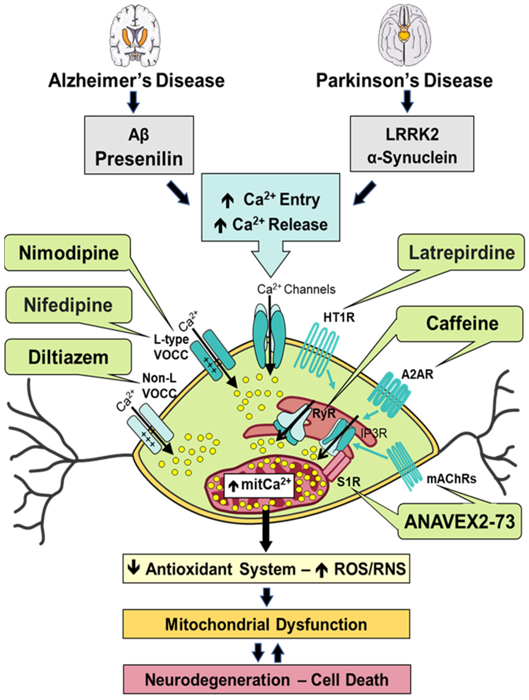 Antioxidants 12 01282 g001
