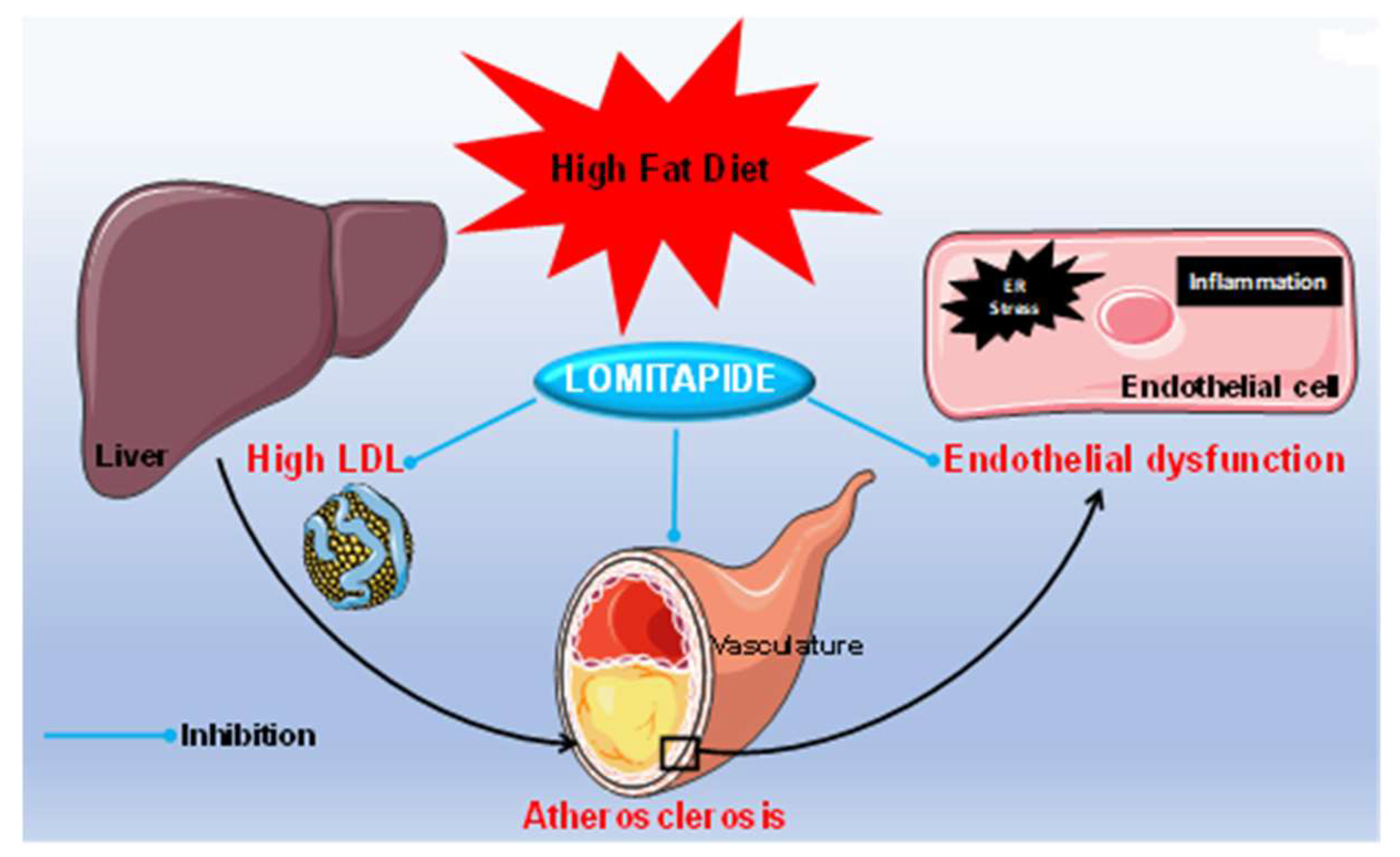 Antioxidants 12 01287 g008