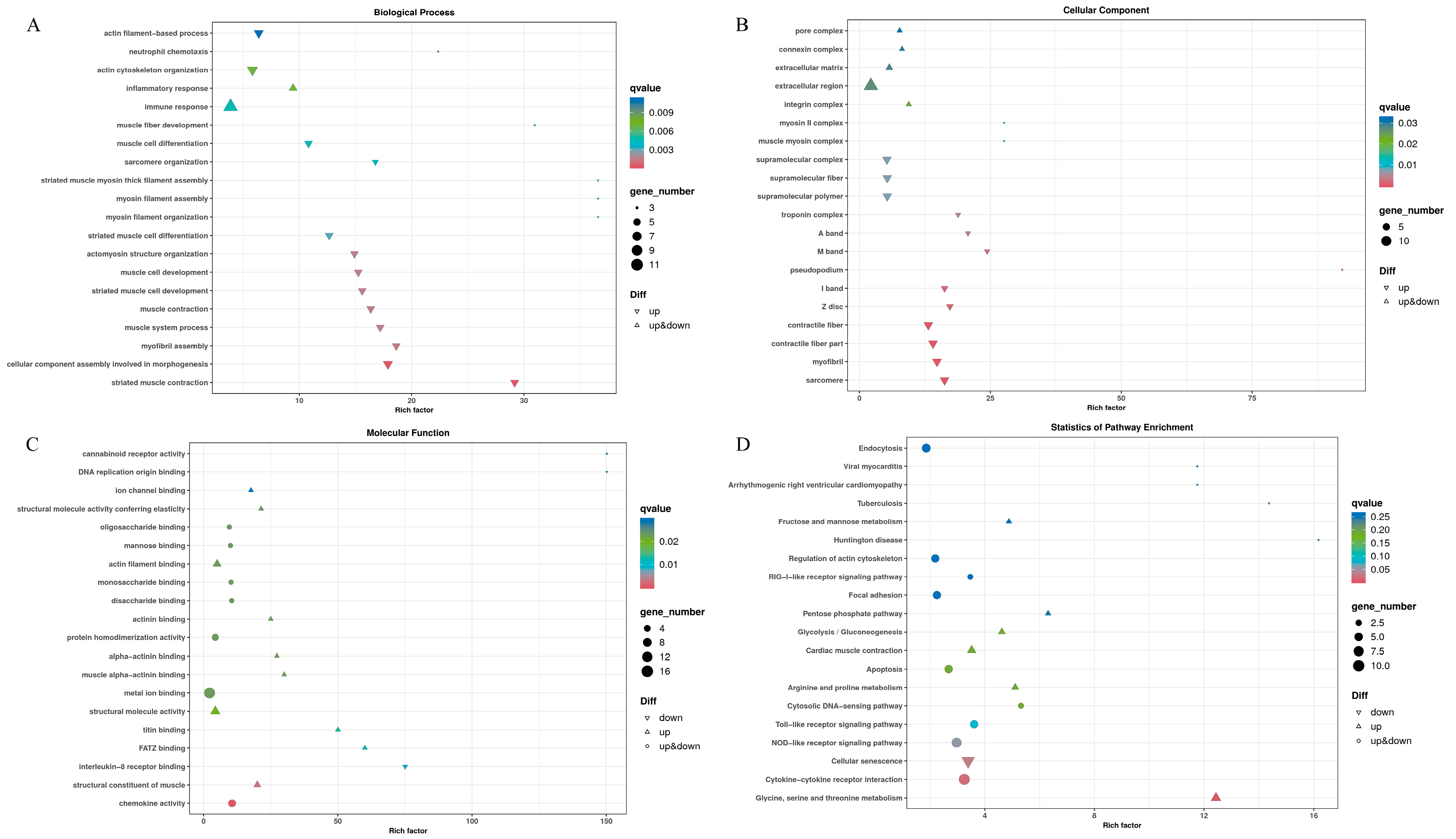 Antioxidants 12 01288 g002