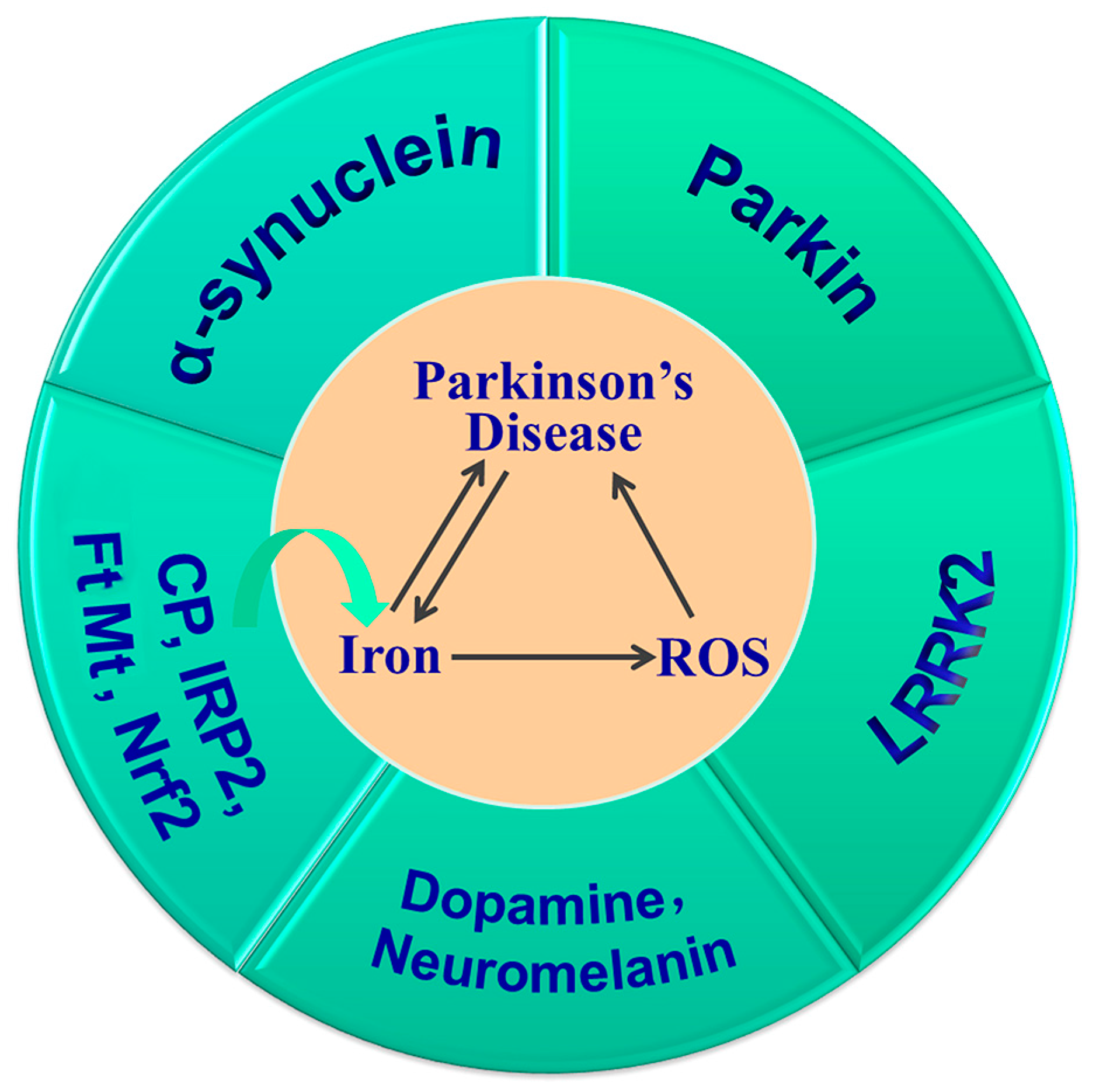 Antioxidants 12 01289 g004