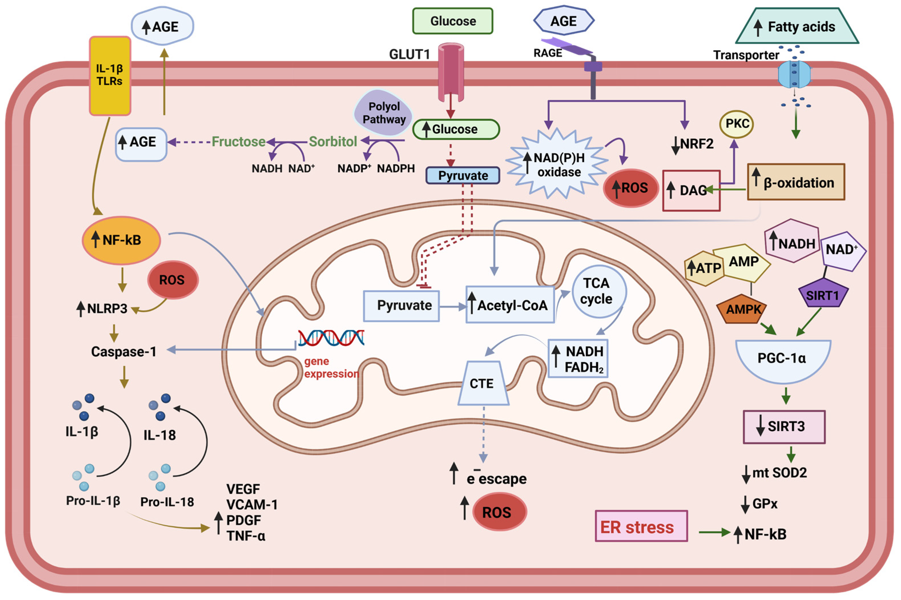 Antioxidants 12 01290 g001