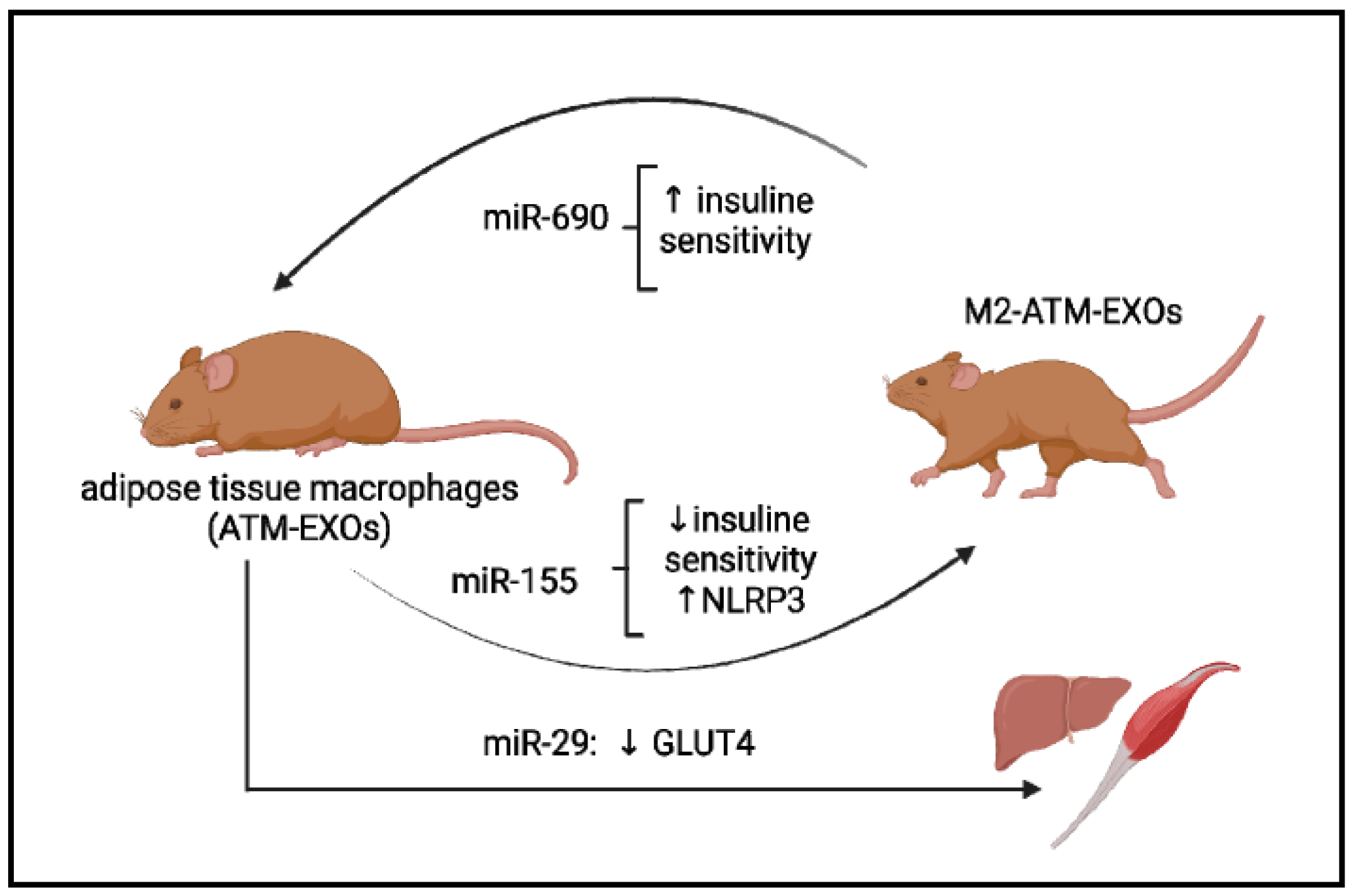 Antioxidants 12 01290 g002