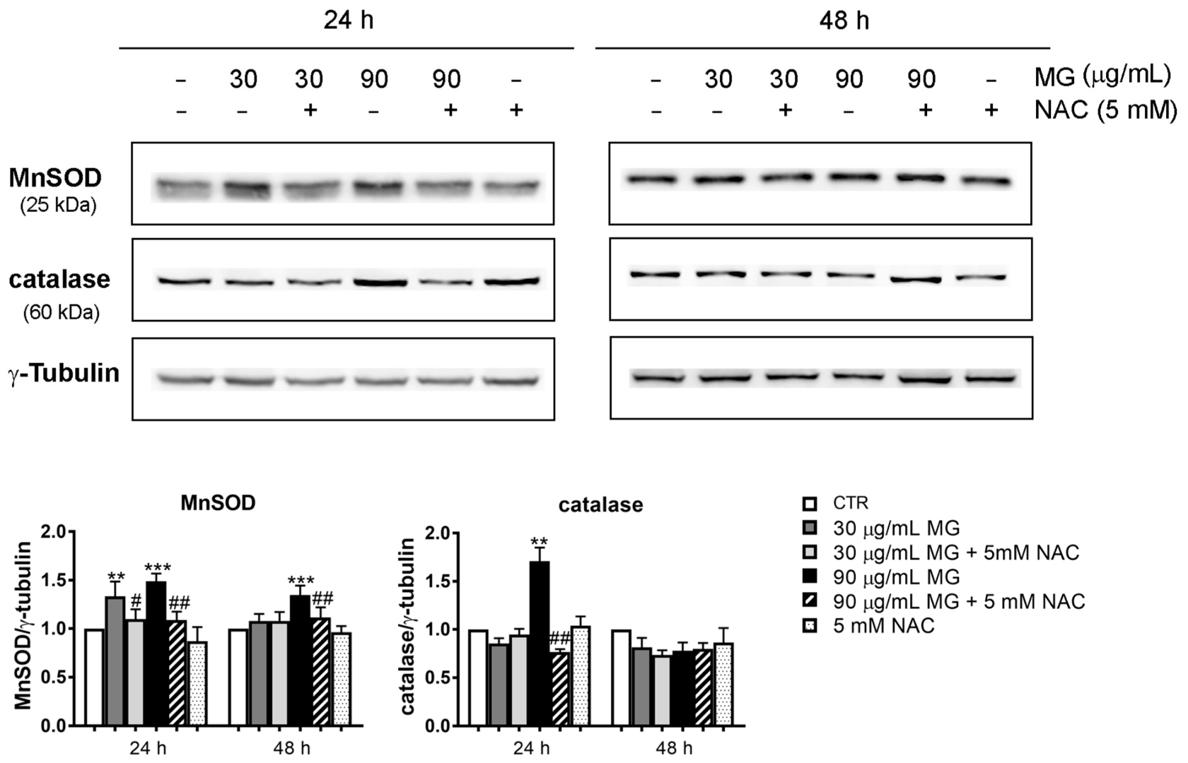 Antioxidants 12 01292 g003