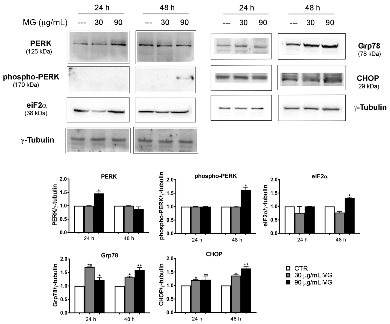Antioxidants 12 01292 g004