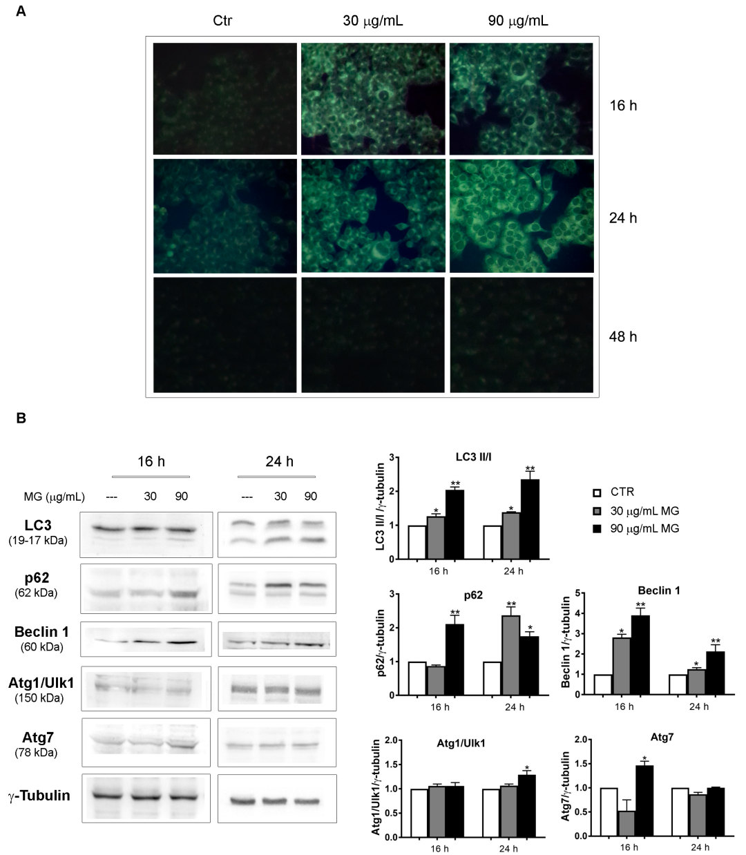 Antioxidants 12 01292 g006