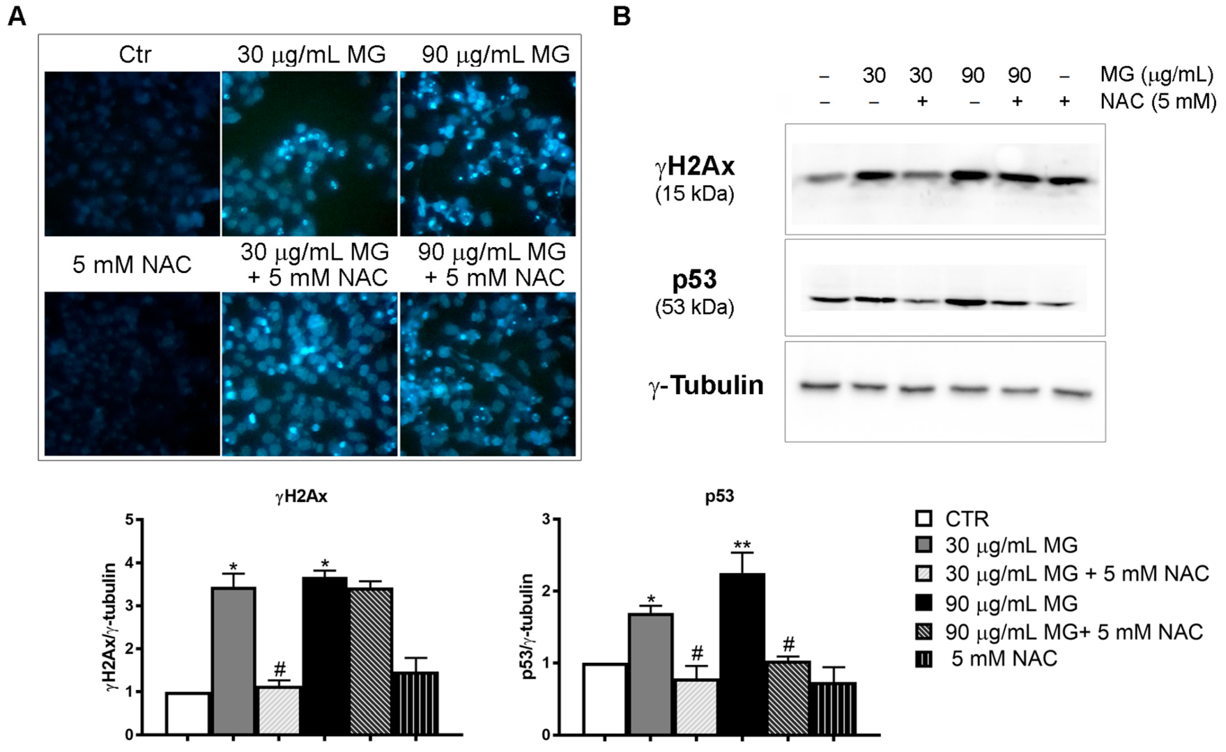Antioxidants 12 01292 g007