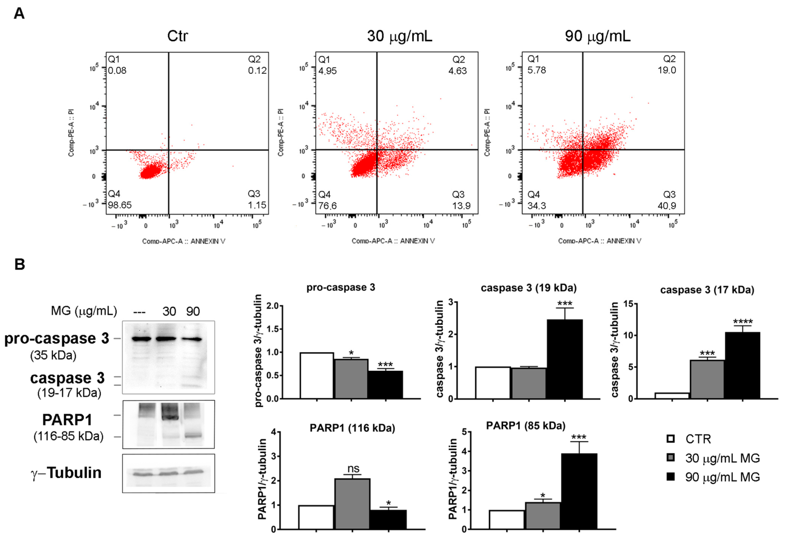 Antioxidants 12 01292 g008
