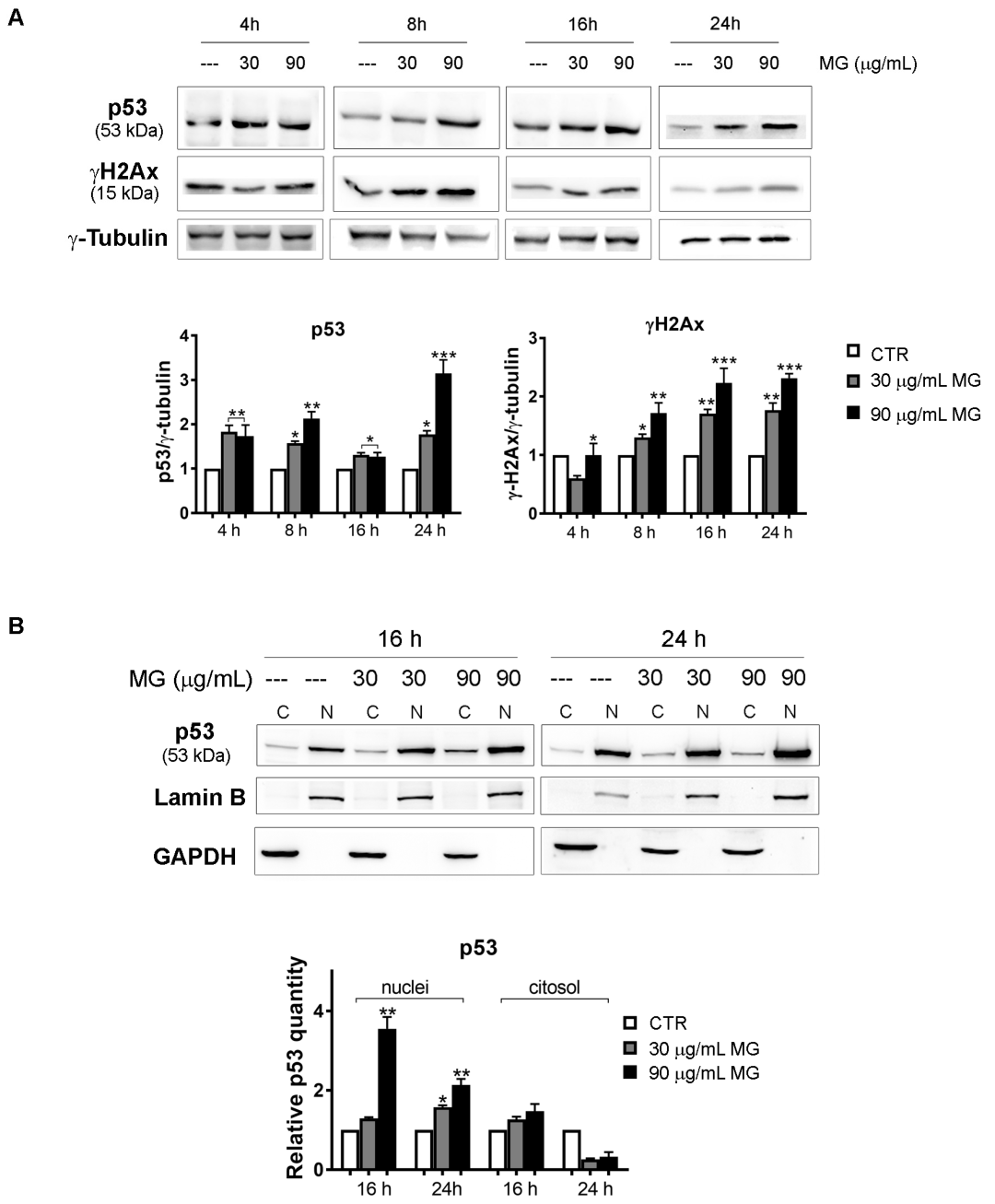 Antioxidants 12 01292 g009