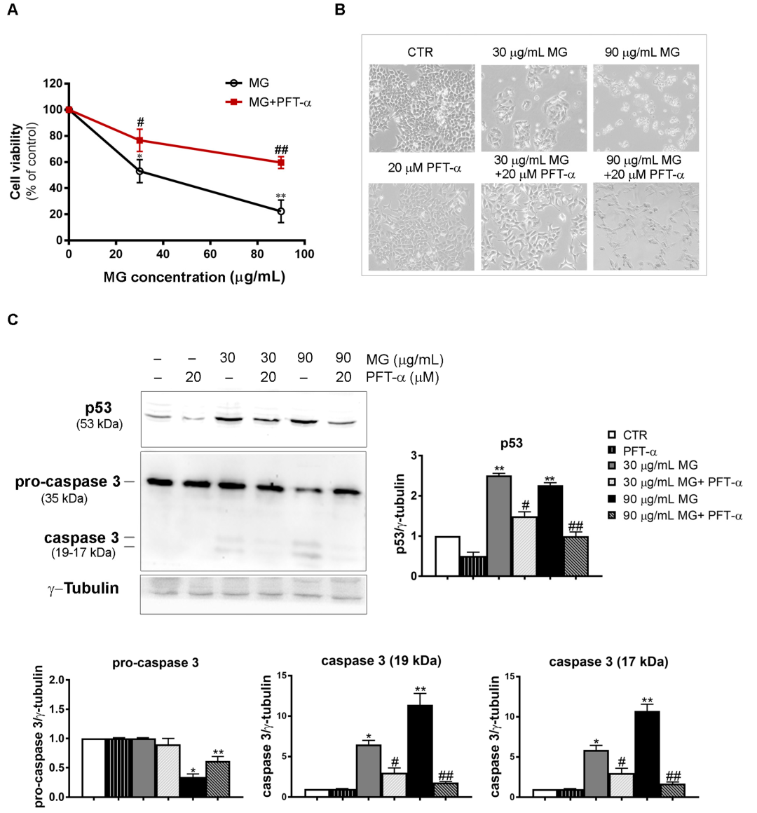 Antioxidants 12 01292 g011