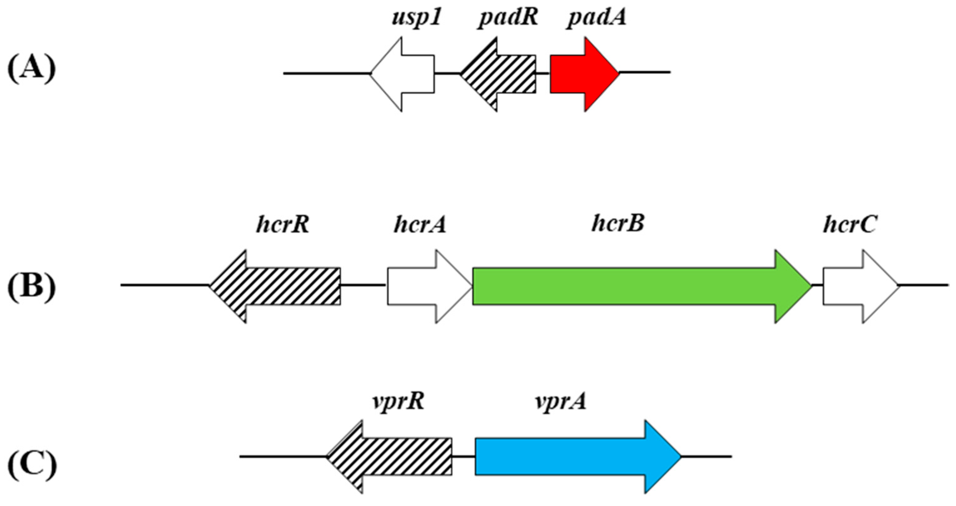 Antioxidants 12 01294 g002