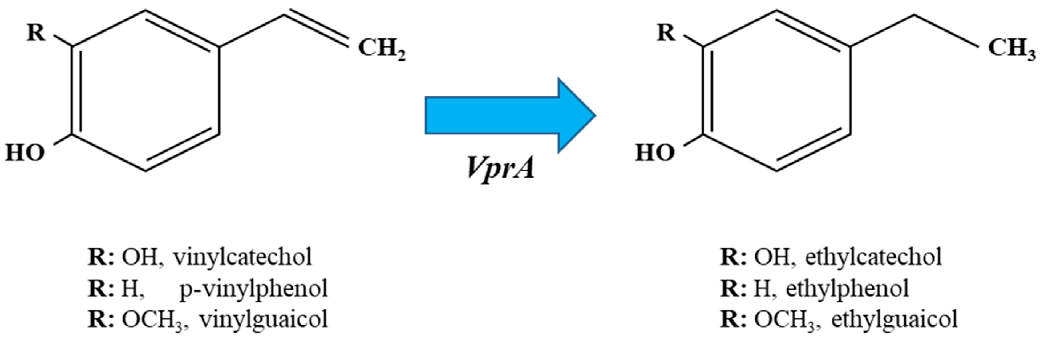 Antioxidants 12 01294 g003
