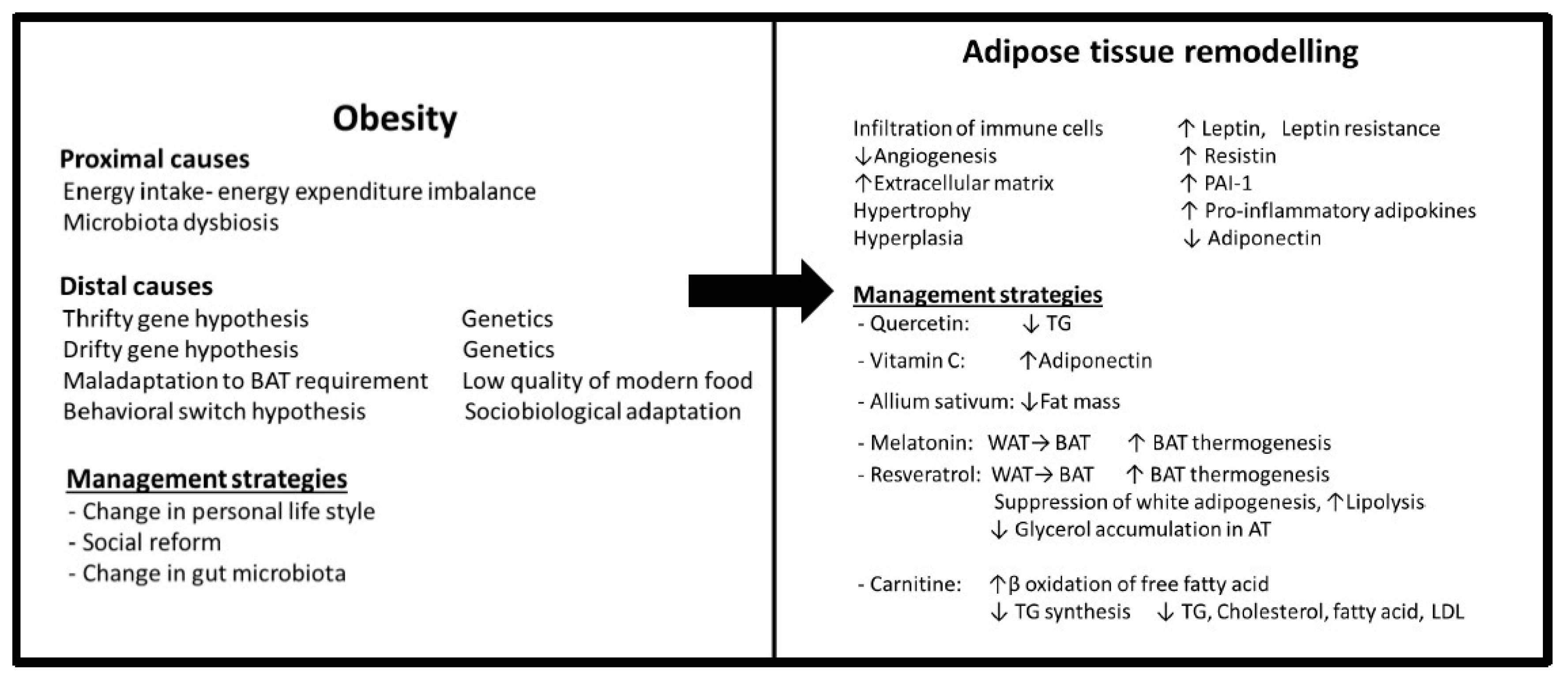 Antioxidants 12 01295 g001