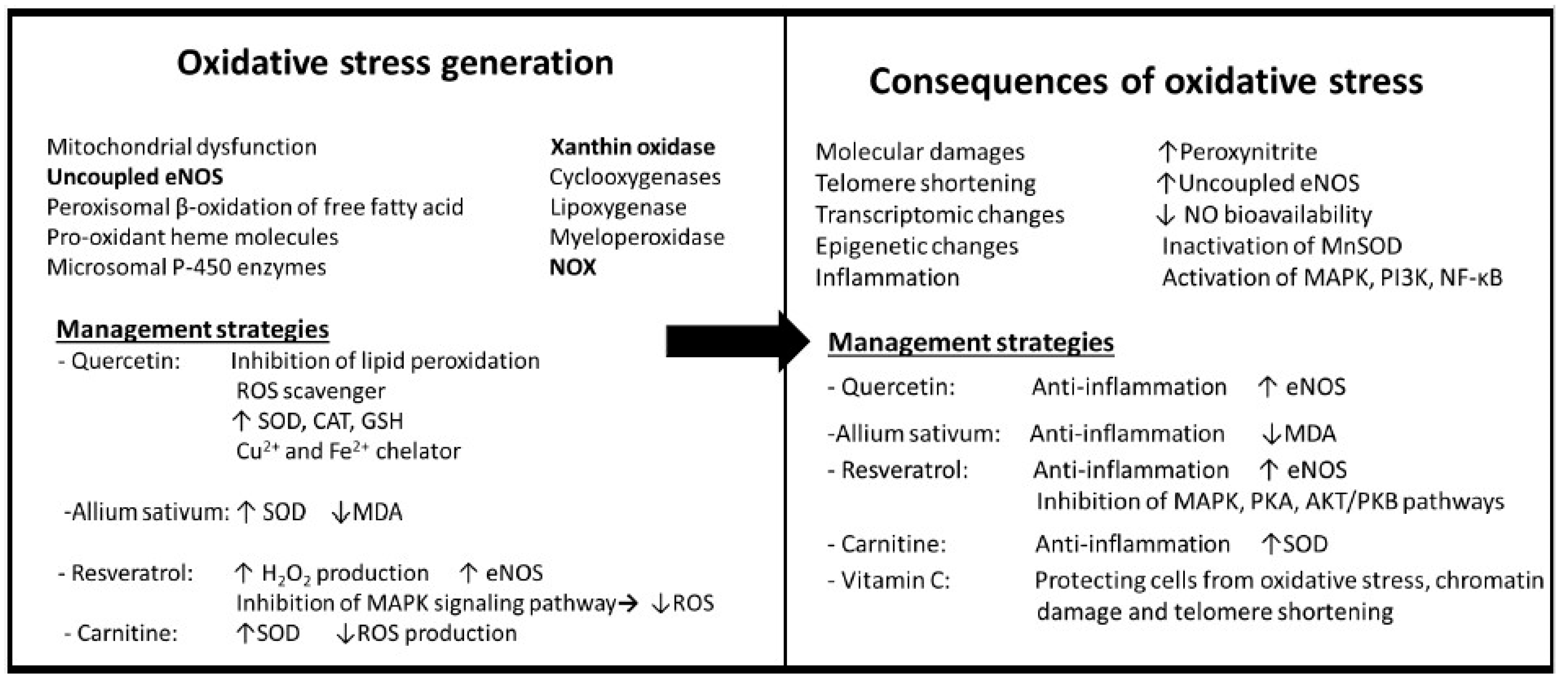 Antioxidants 12 01295 g002