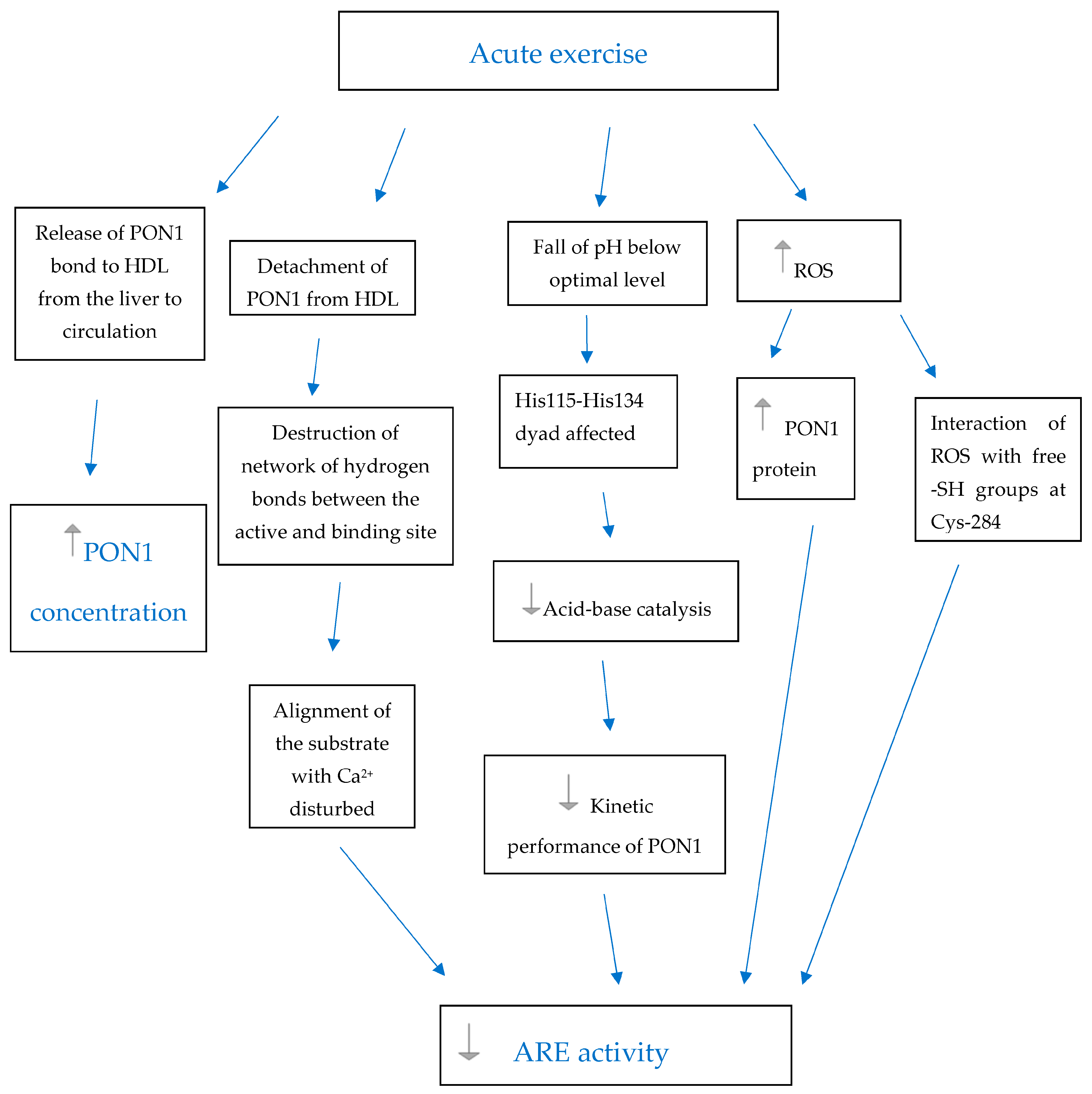 Antioxidants 12 01296 g001
