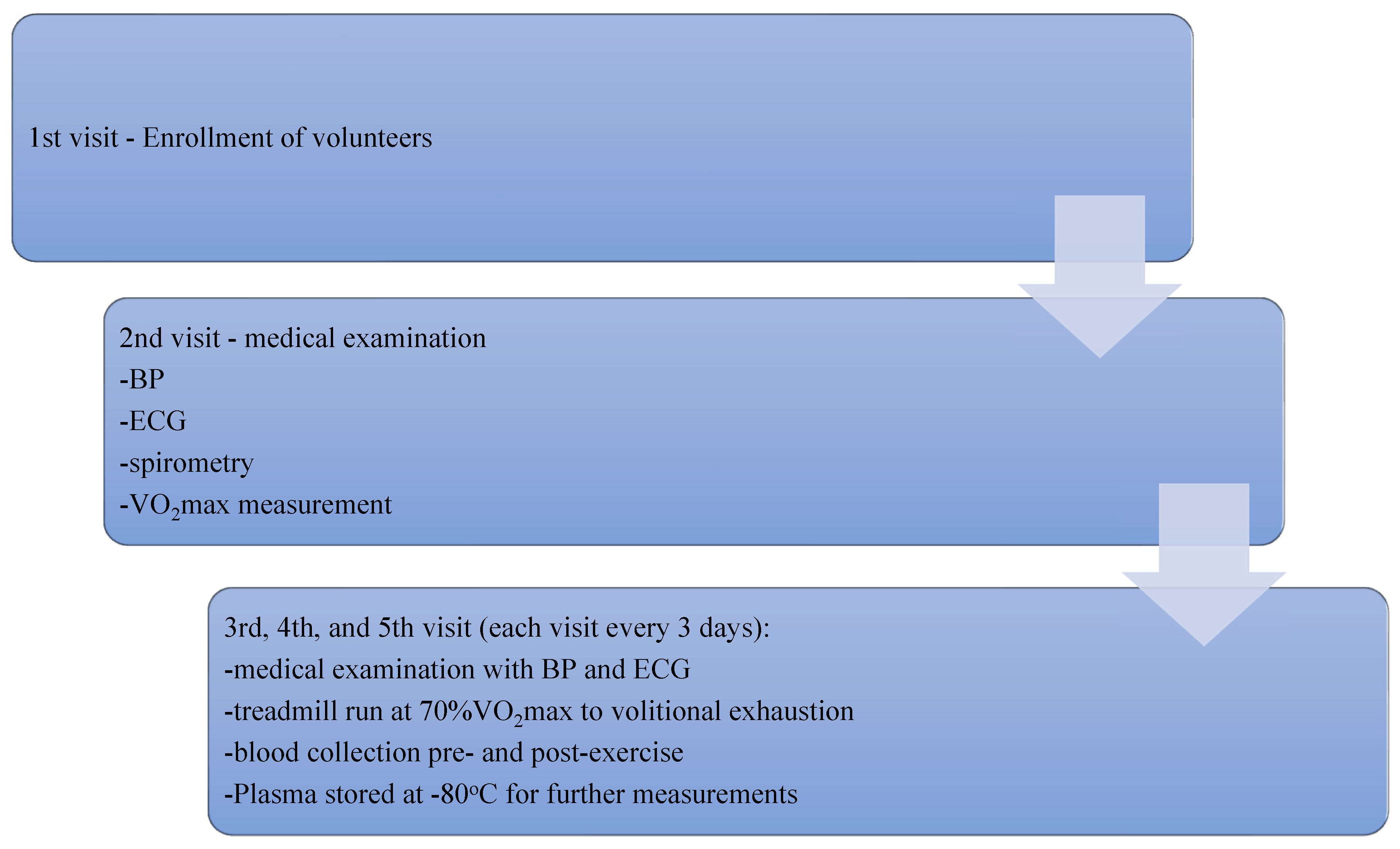 Antioxidants 12 01296 g002
