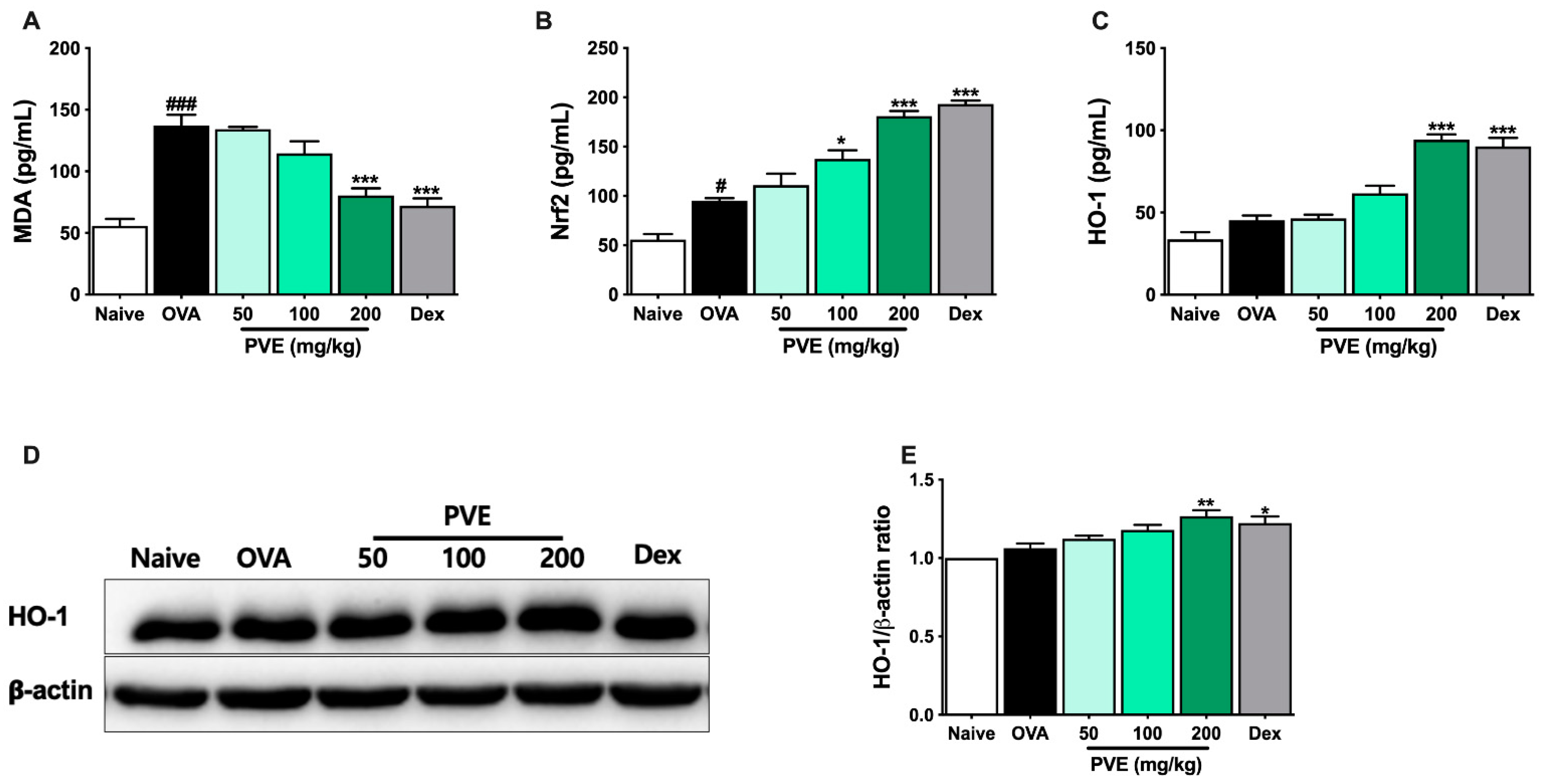 Antioxidants 12 01301 g009