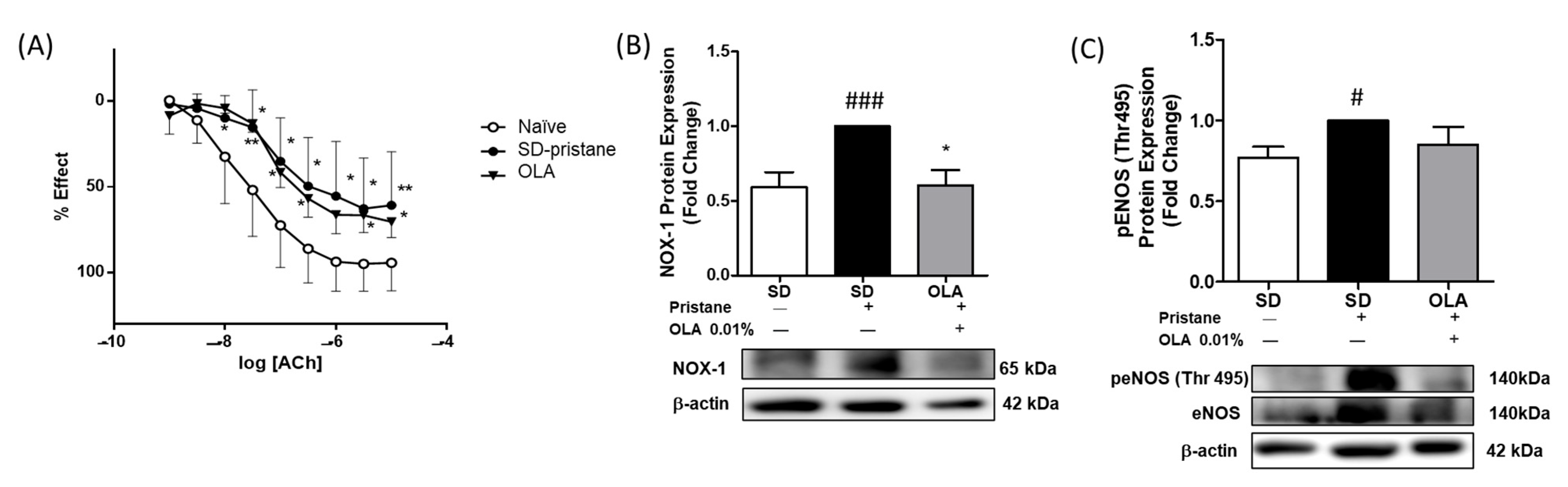 Antioxidants 12 01303 g007