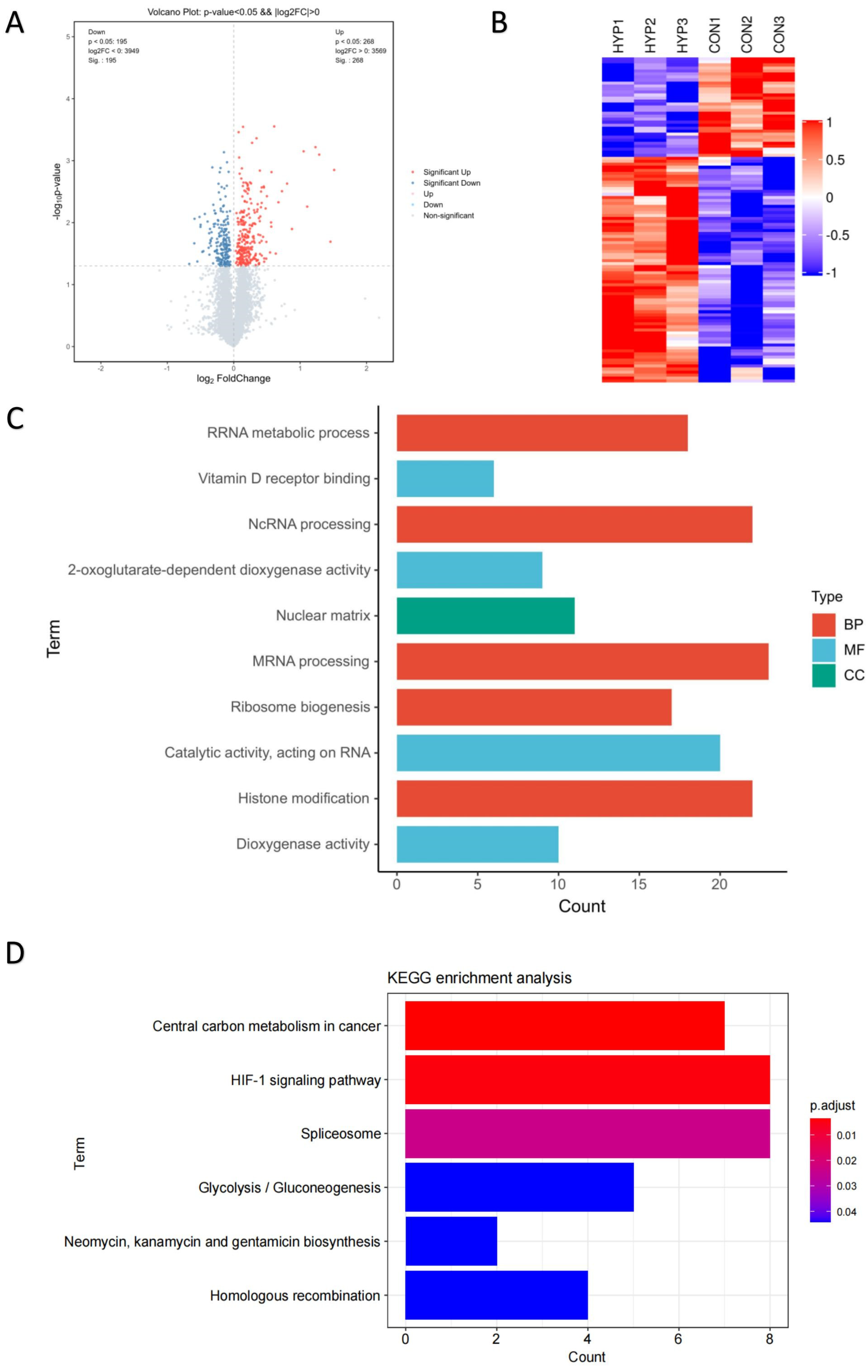 Antioxidants 12 01304 g002