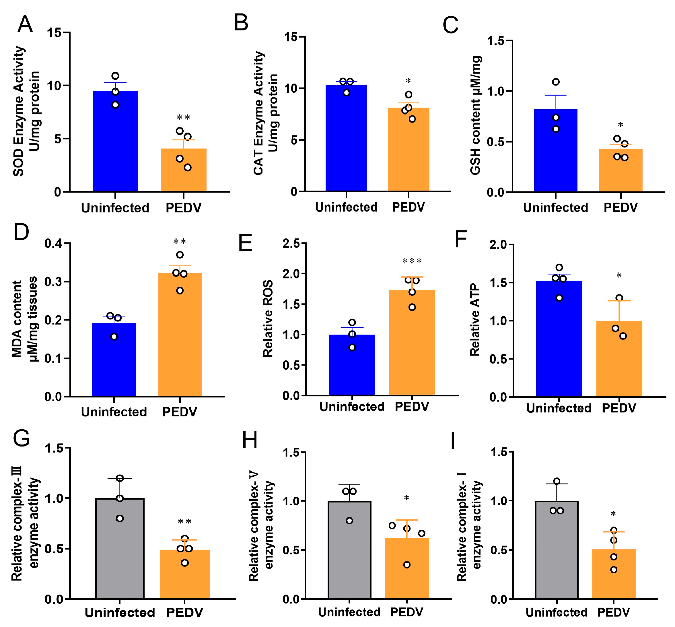 Antioxidants 12 01305 g001