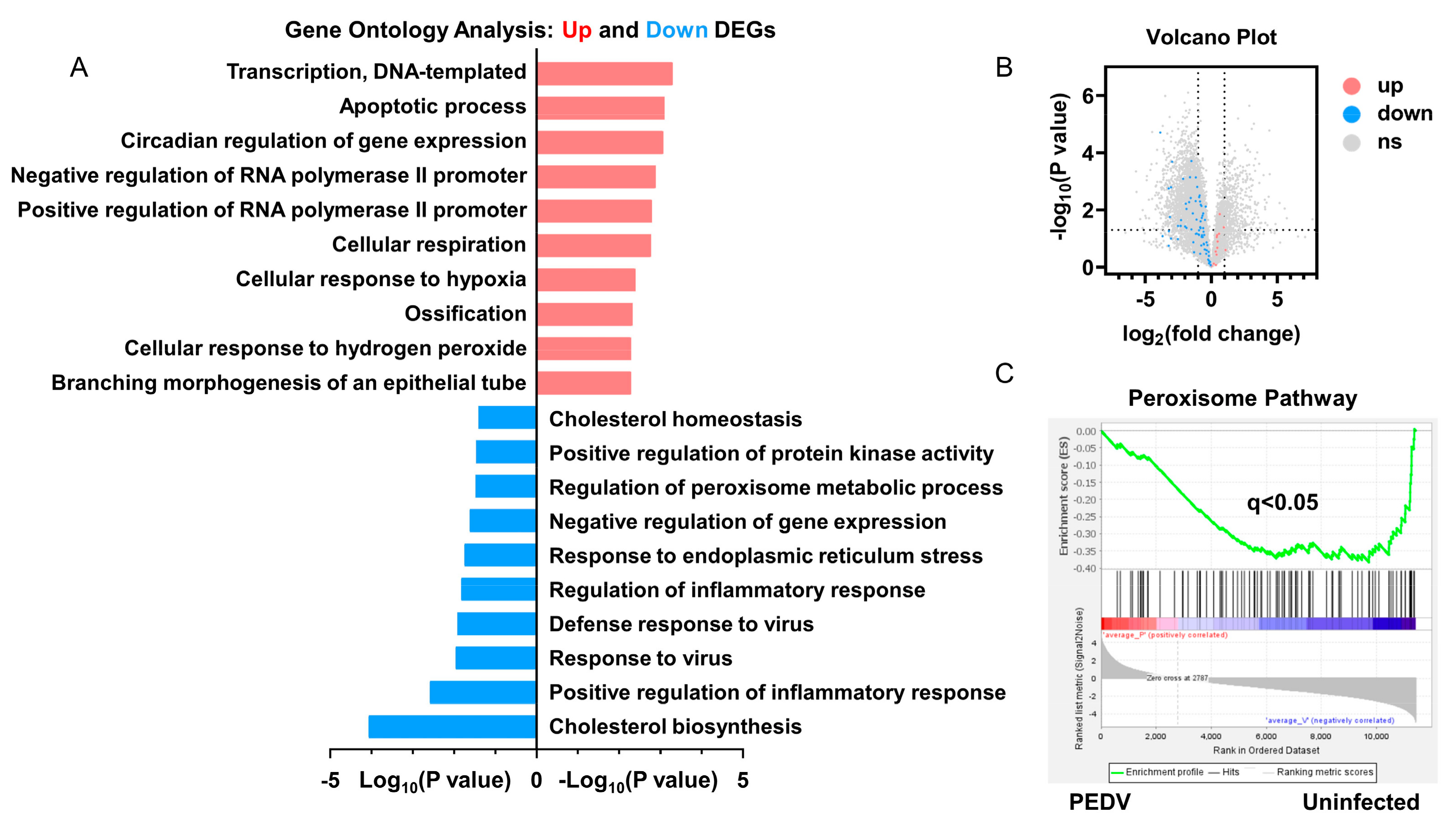 Antioxidants 12 01305 g002