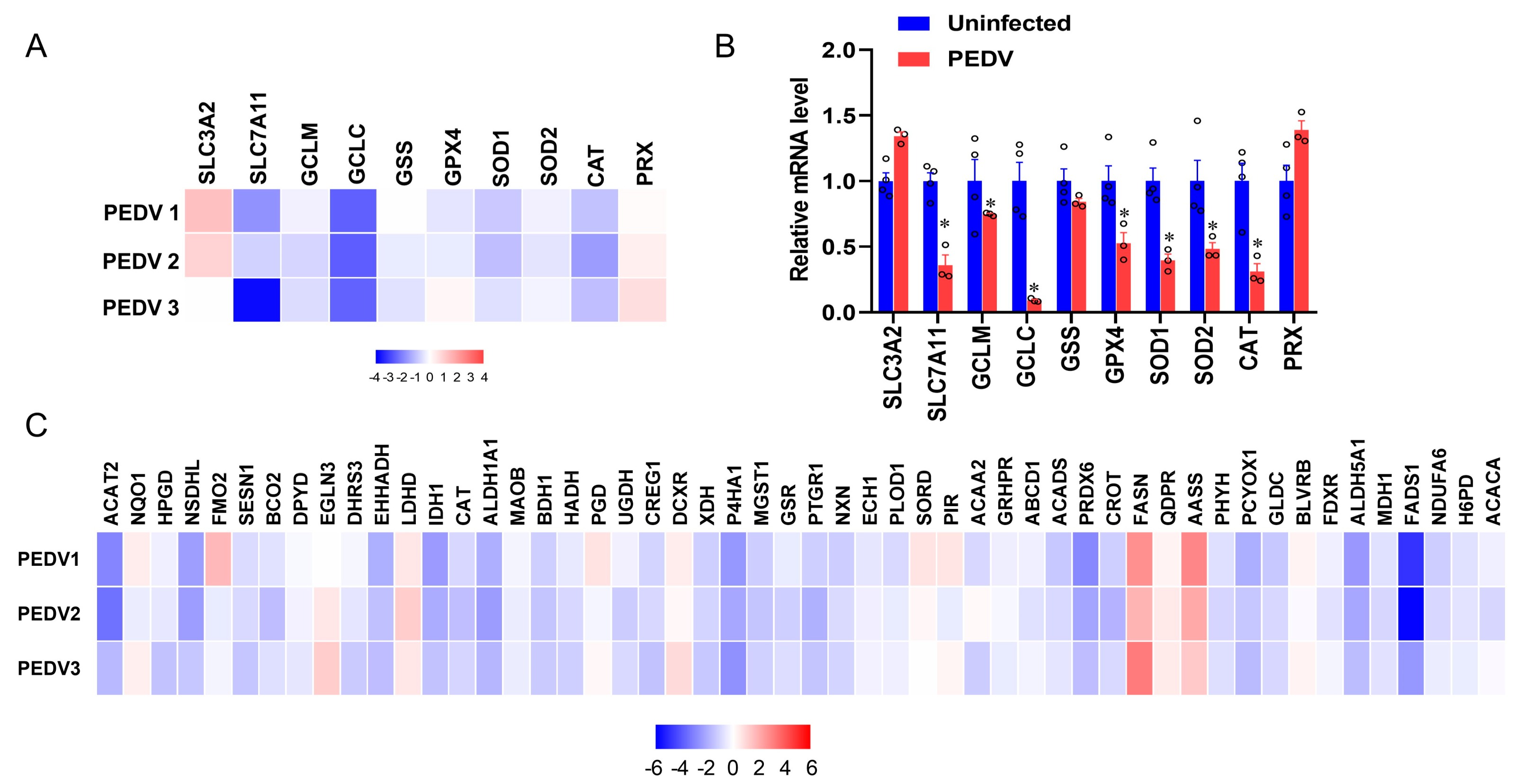 Antioxidants 12 01305 g003