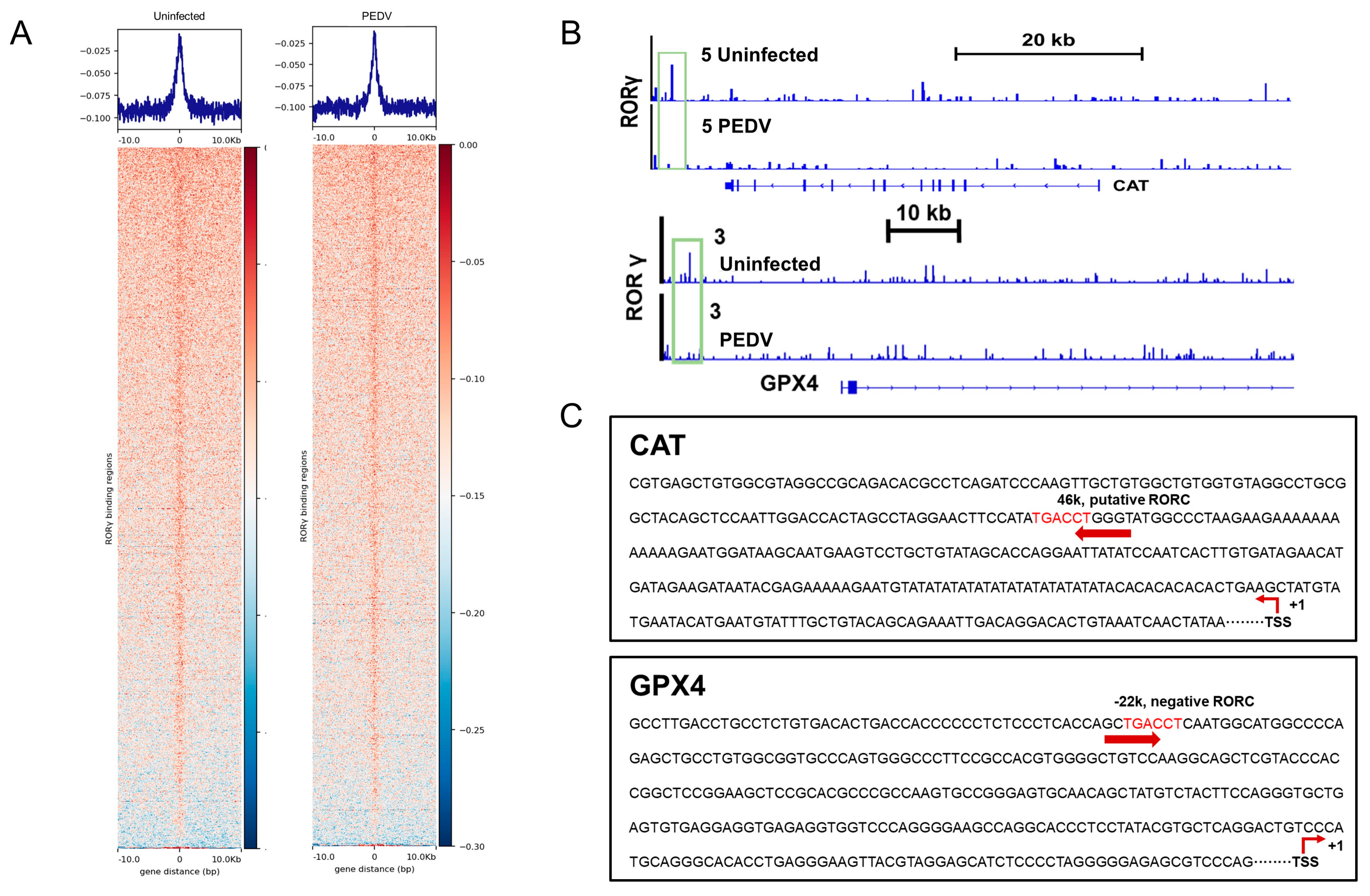 Antioxidants 12 01305 g005