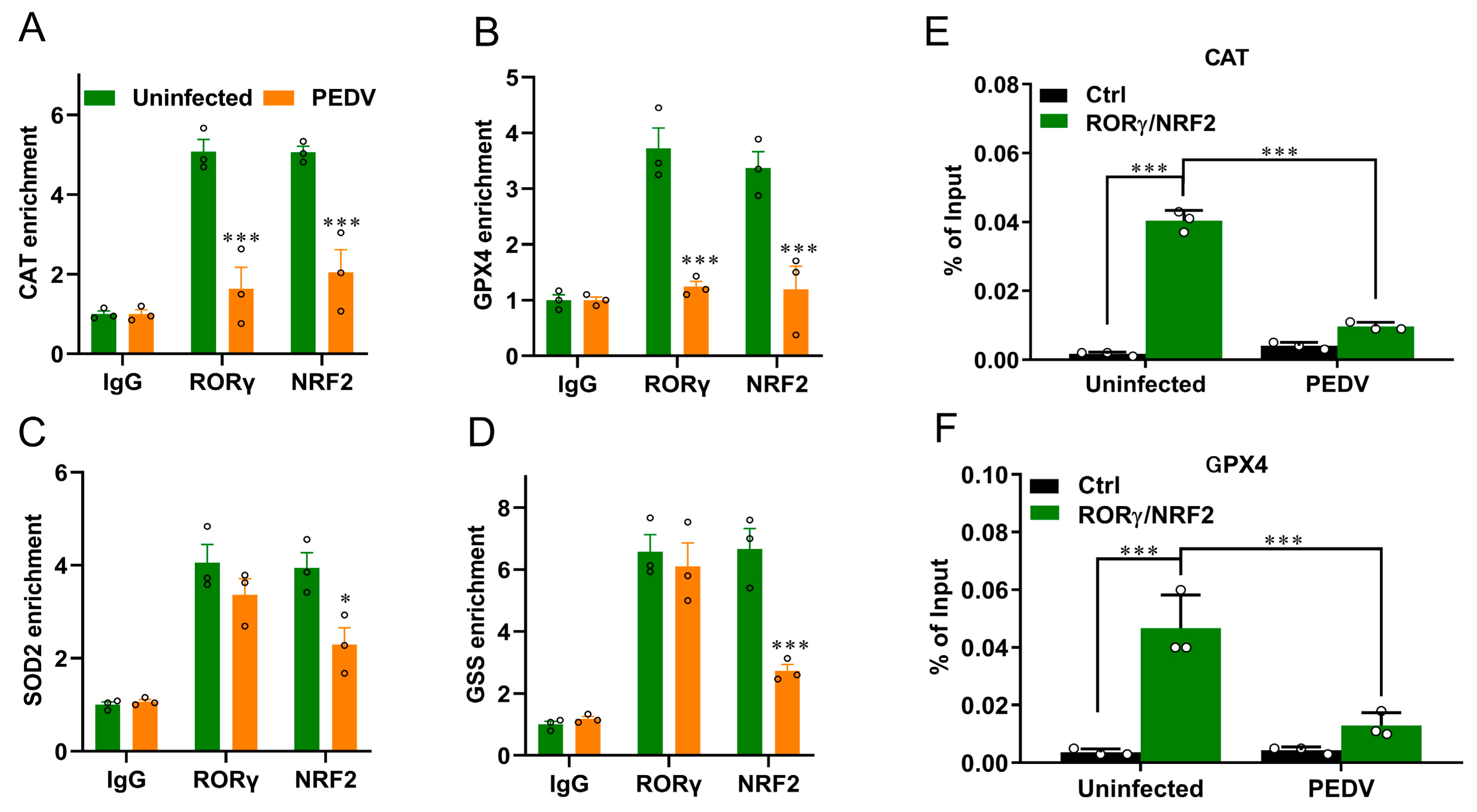 Antioxidants 12 01305 g006
