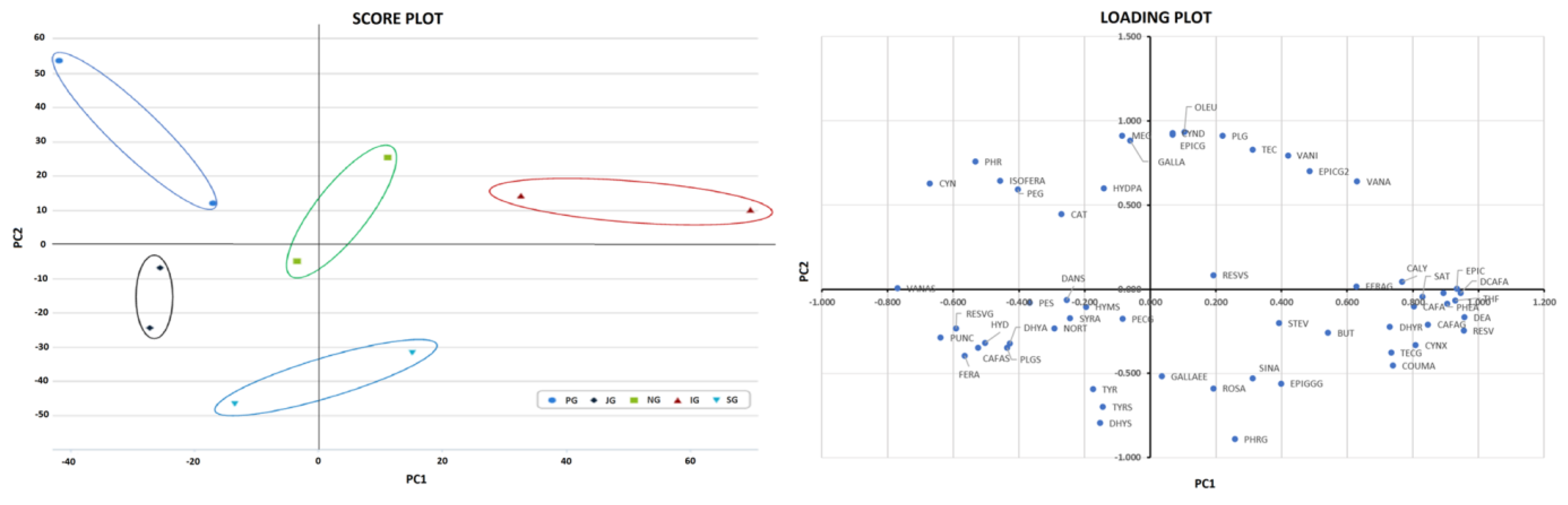 Antioxidants 12 01306 g007