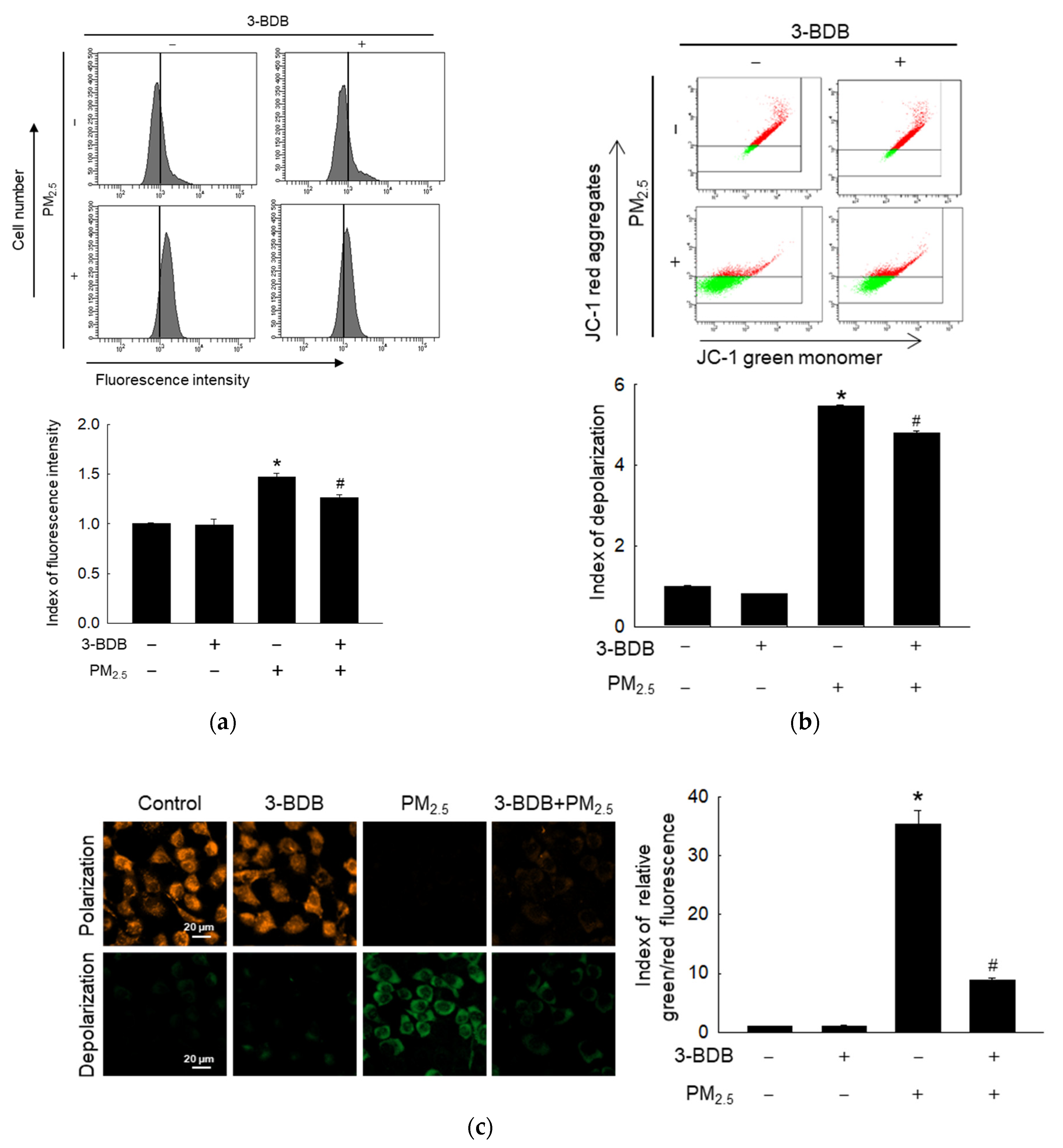 Antioxidants 12 01307 g002