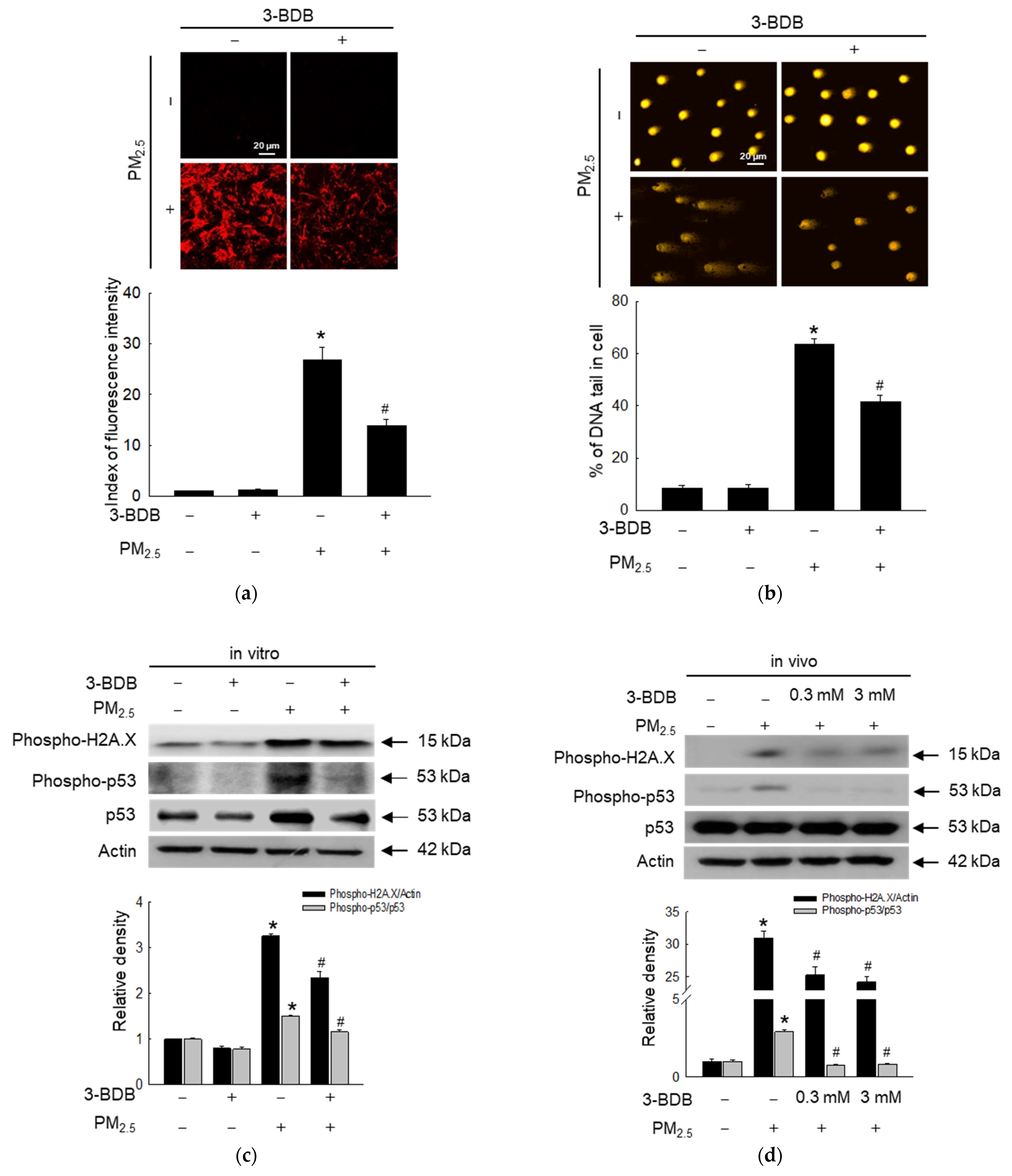Antioxidants 12 01307 g003a