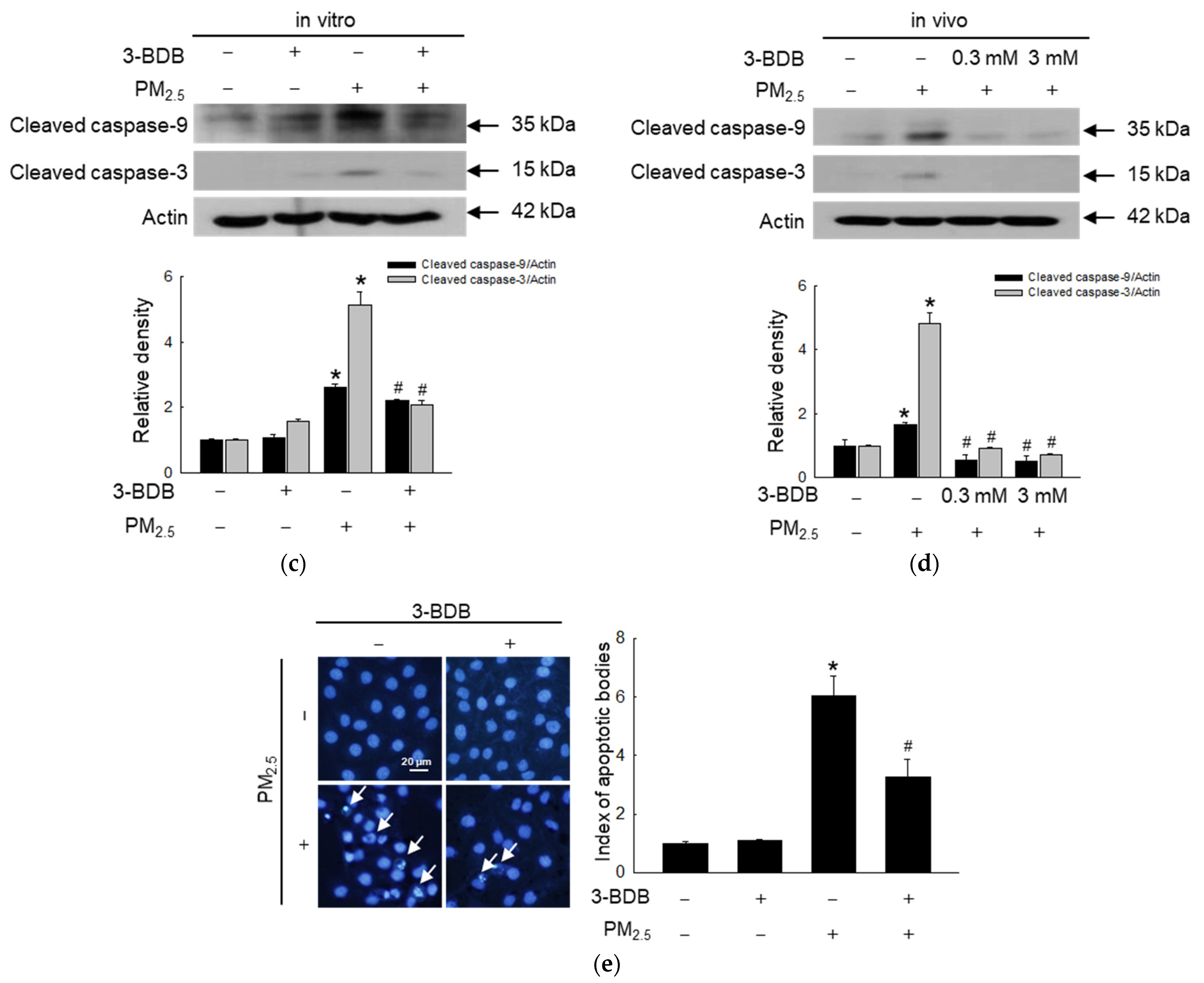 Antioxidants 12 01307 g004b