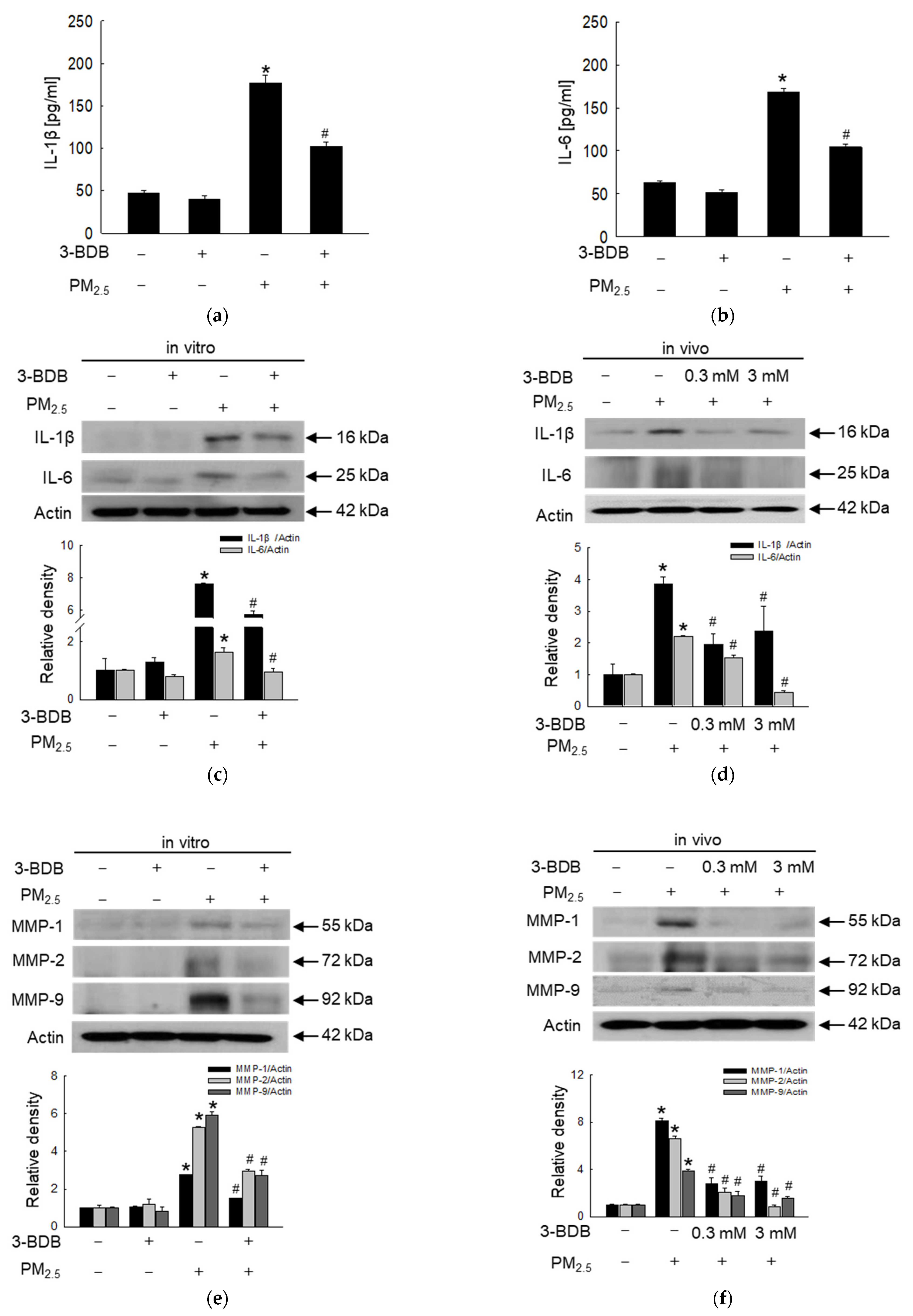 Antioxidants 12 01307 g006a