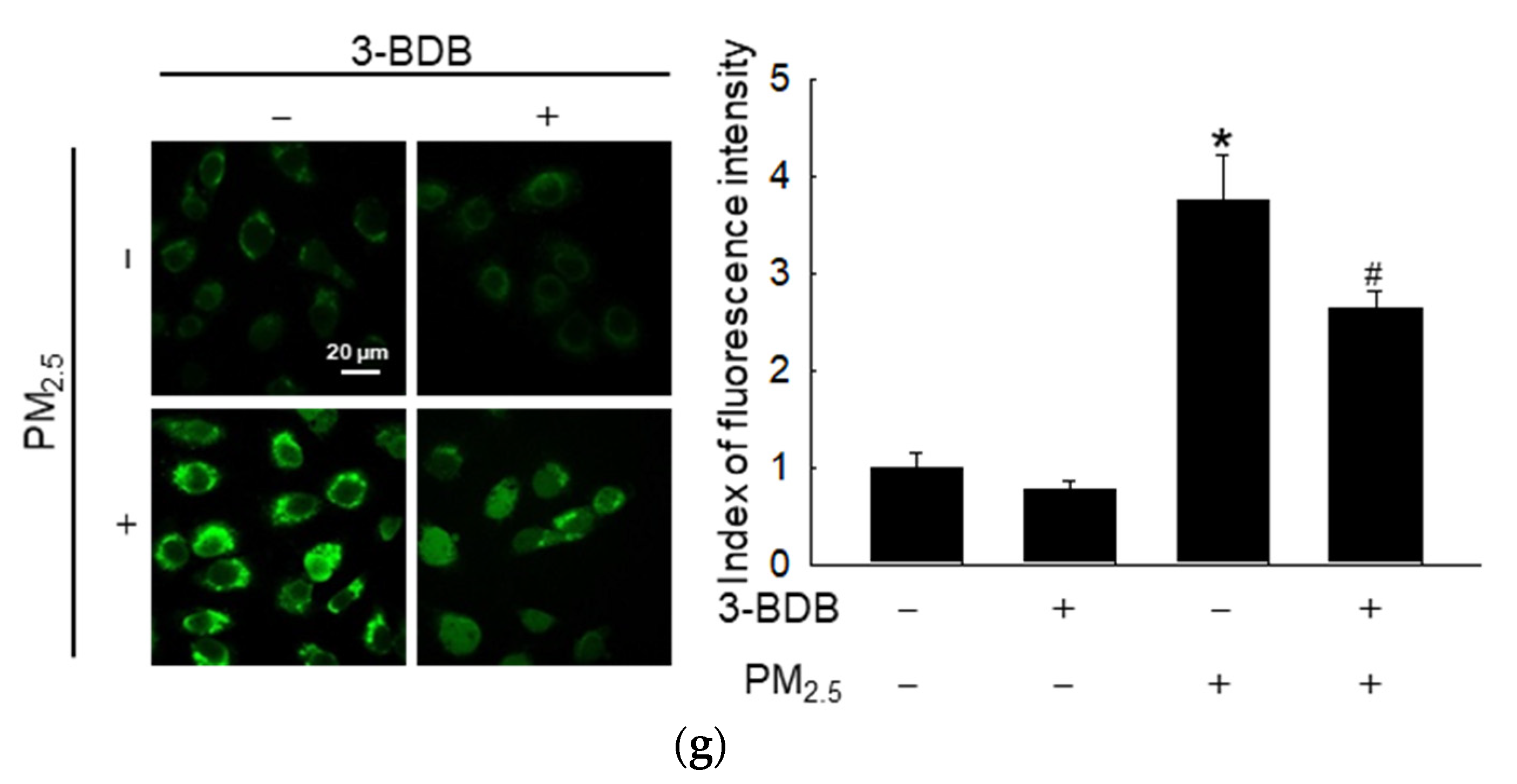 Antioxidants 12 01307 g006b