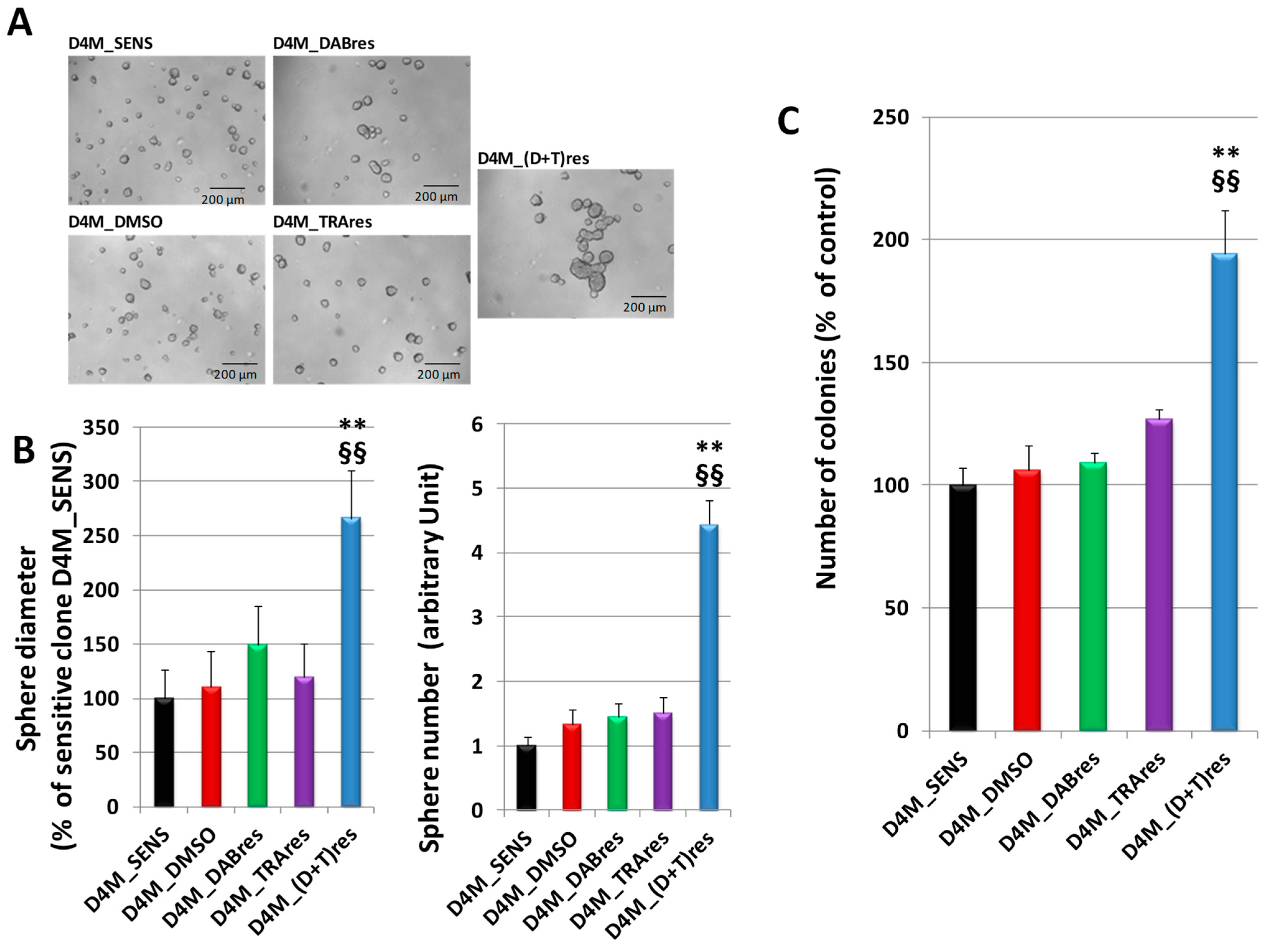 Antioxidants 12 01313 g002