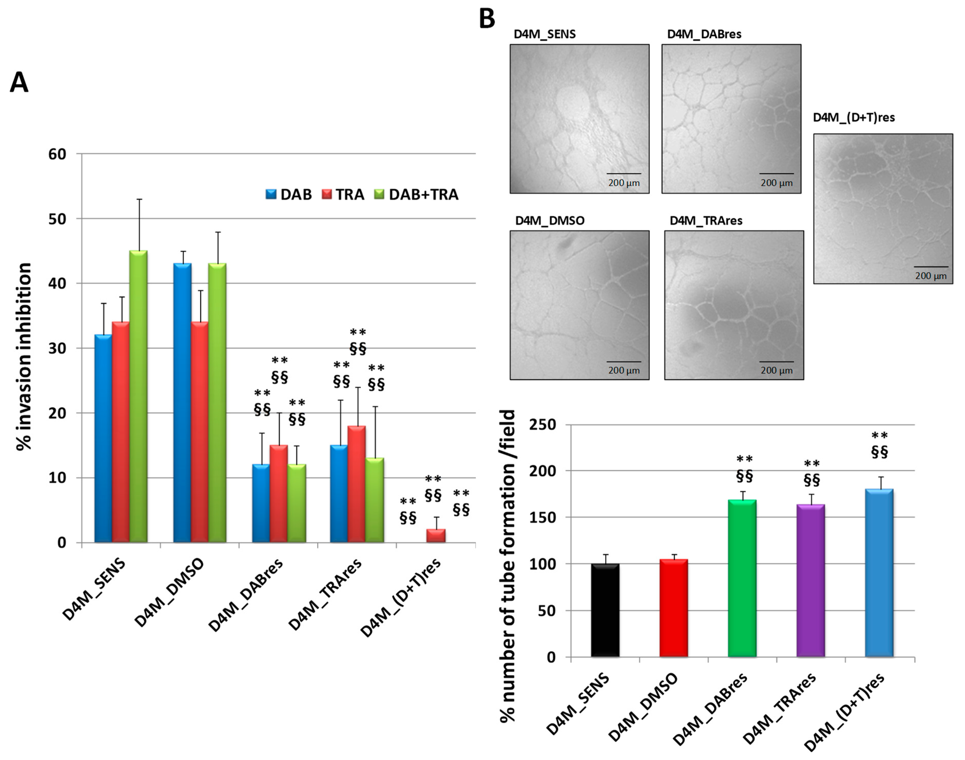Antioxidants 12 01313 g004