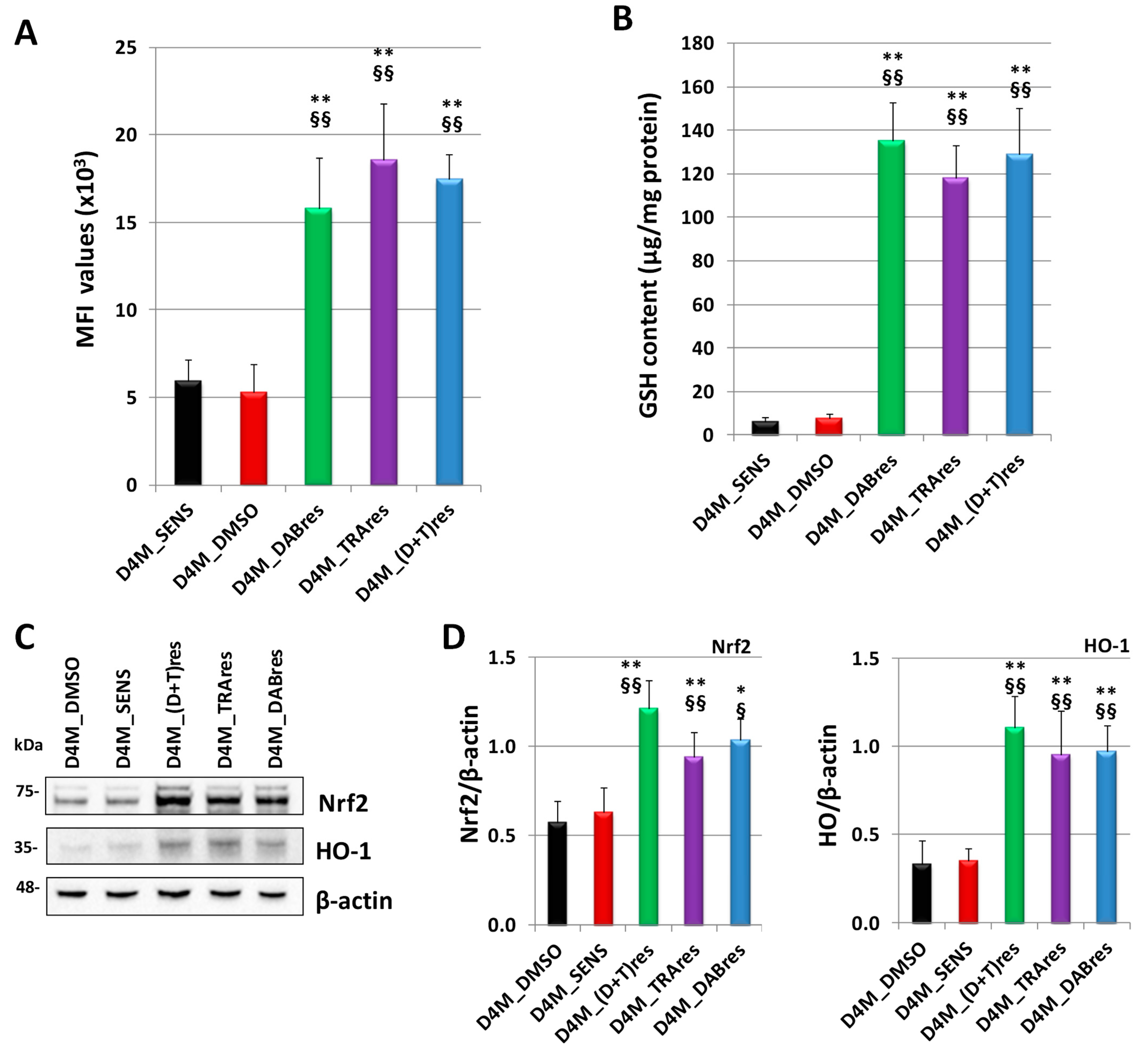 Antioxidants 12 01313 g005