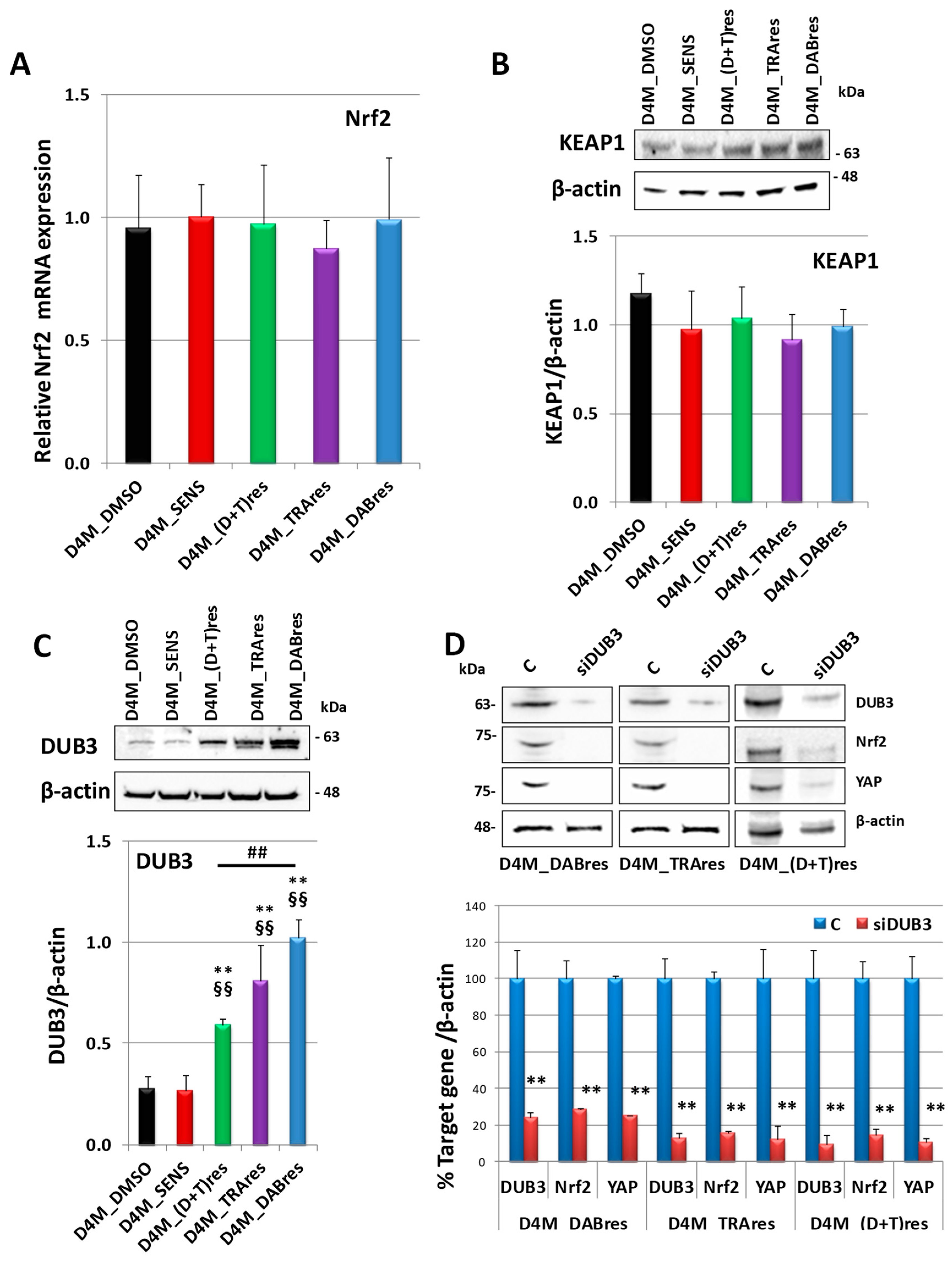 Antioxidants 12 01313 g007