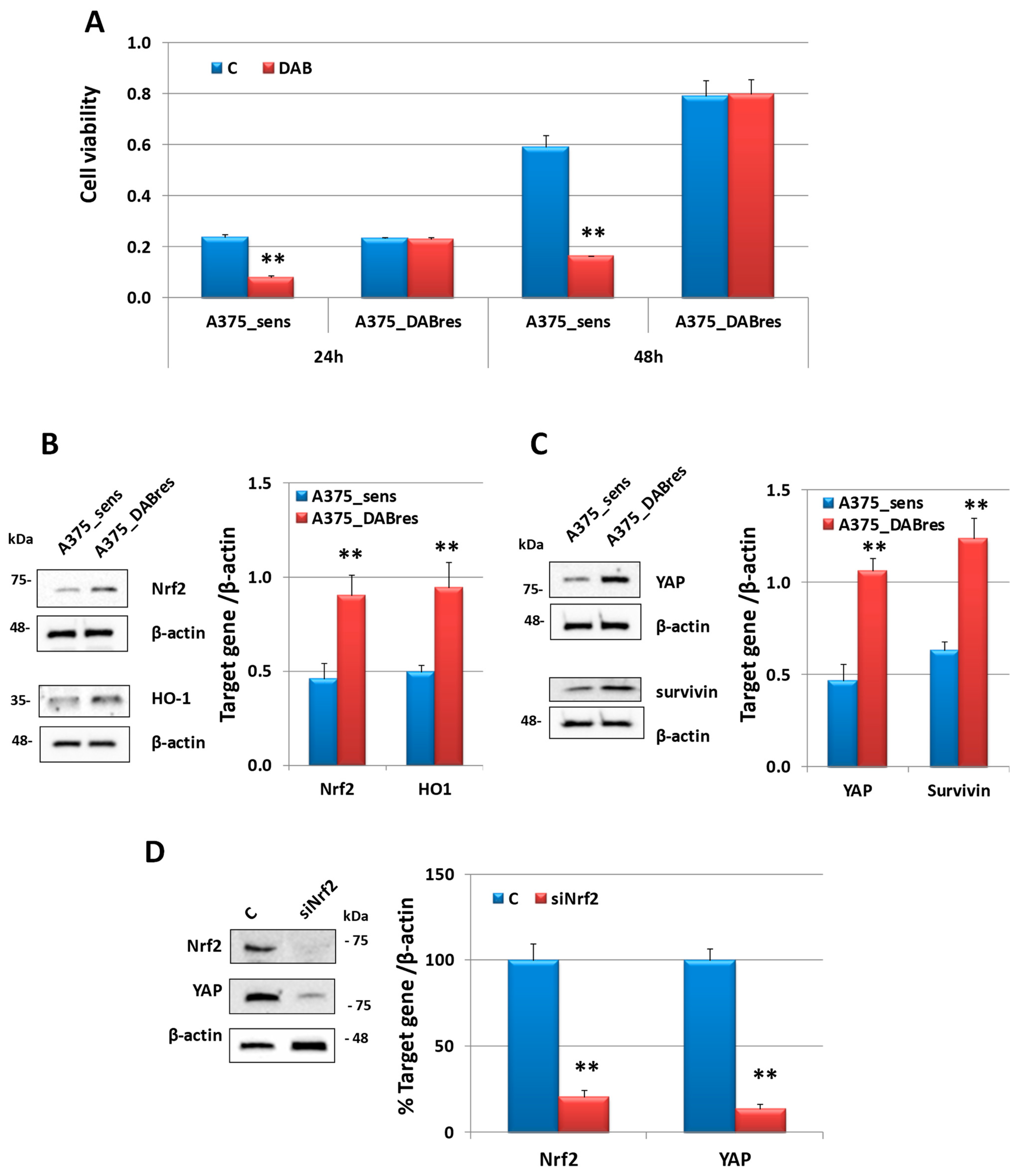 Antioxidants 12 01313 g009