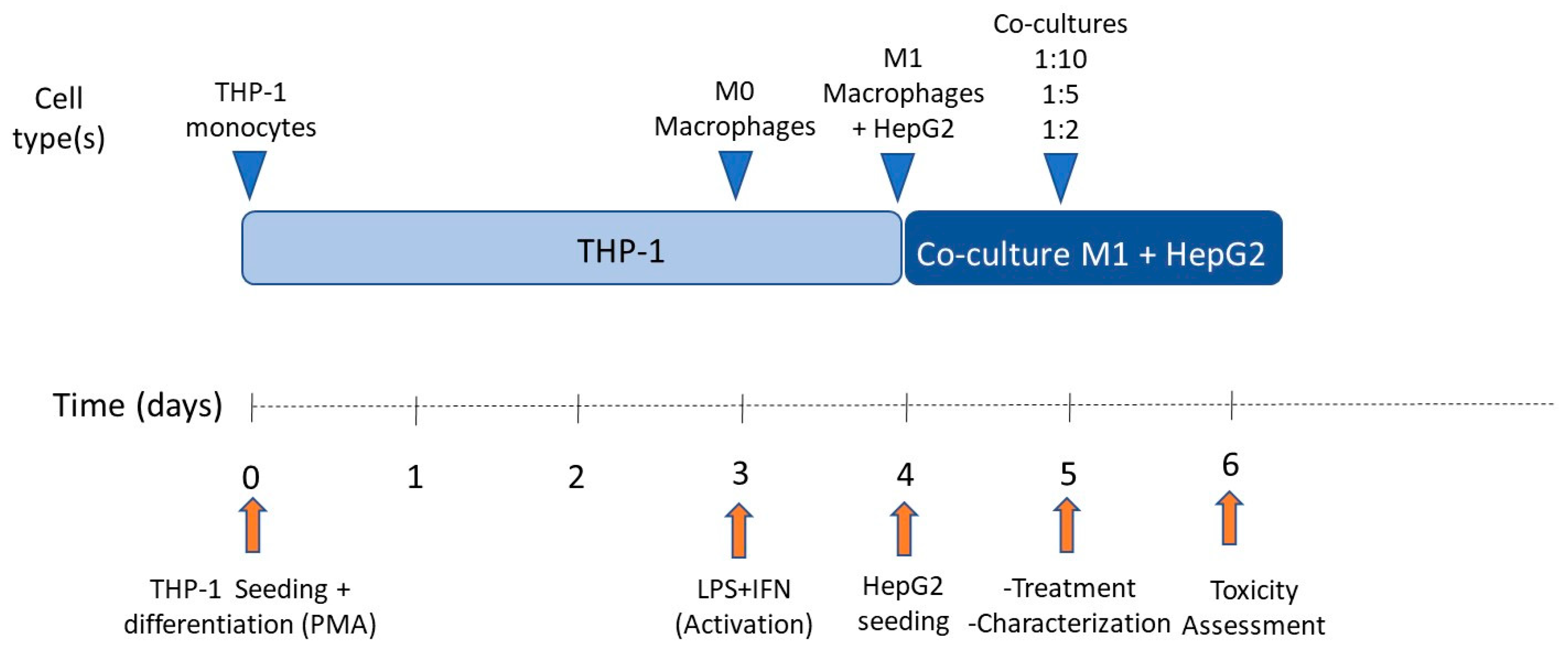 Antioxidants 12 01315 g002